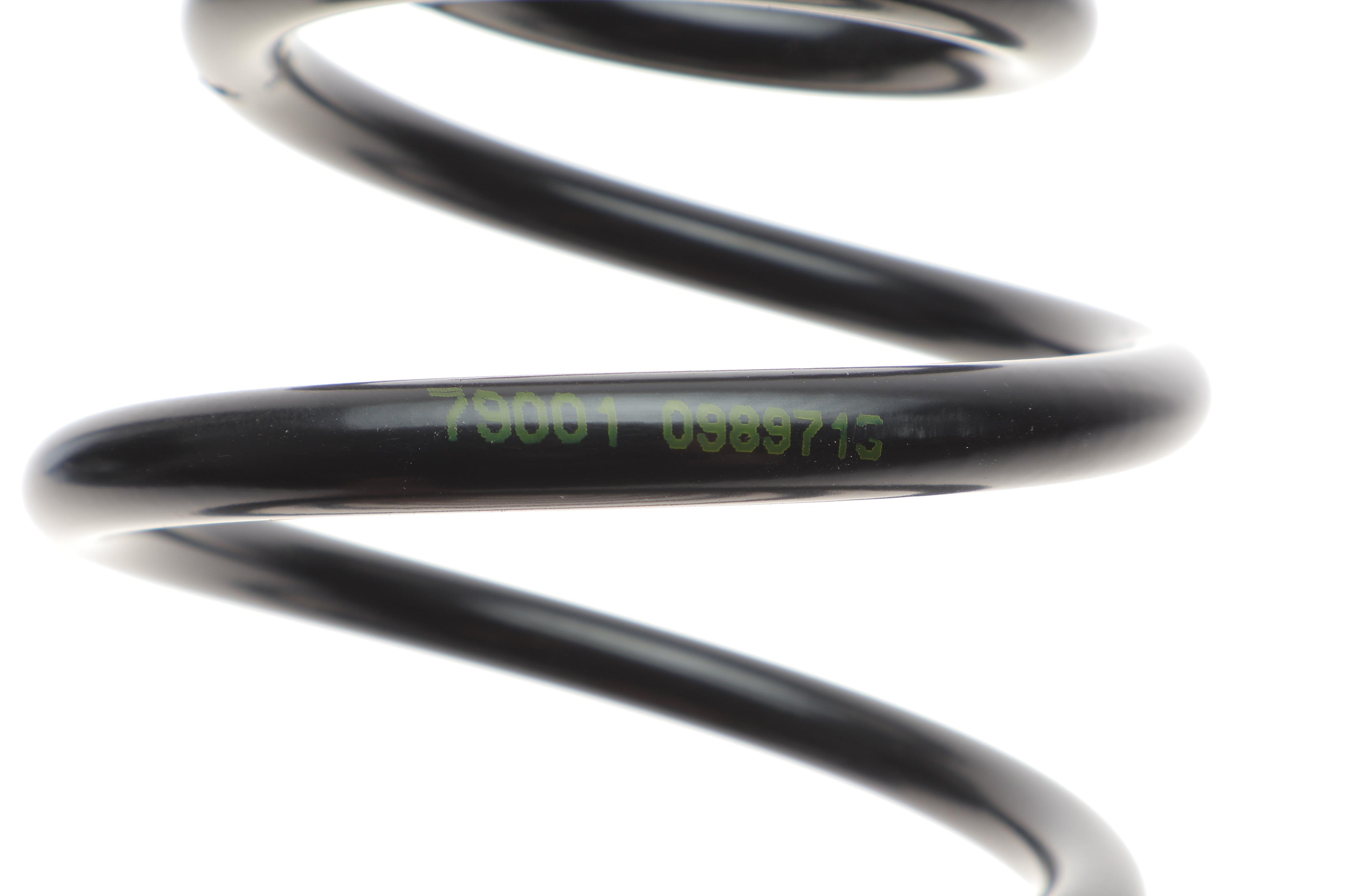 Пружина (задня) Ford Fiesta VI 1.0-1.4/1.4-1.6TDCi 08- (фургон/нах.зад.частина)