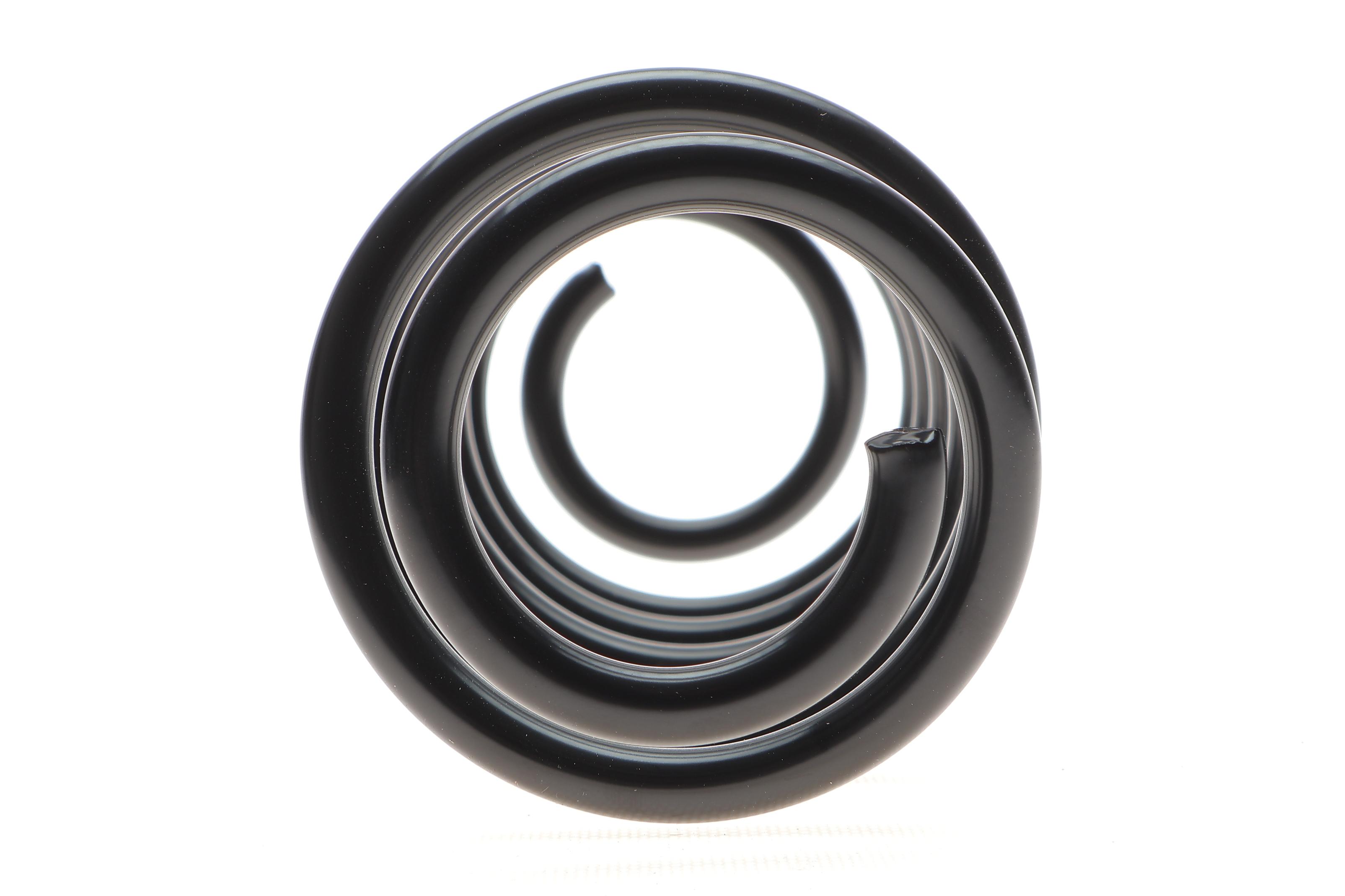 Пружина (задня) Ford Fiesta VI 1.0-1.4/1.4-1.6TDCi 08- (фургон/нах.зад.частина)