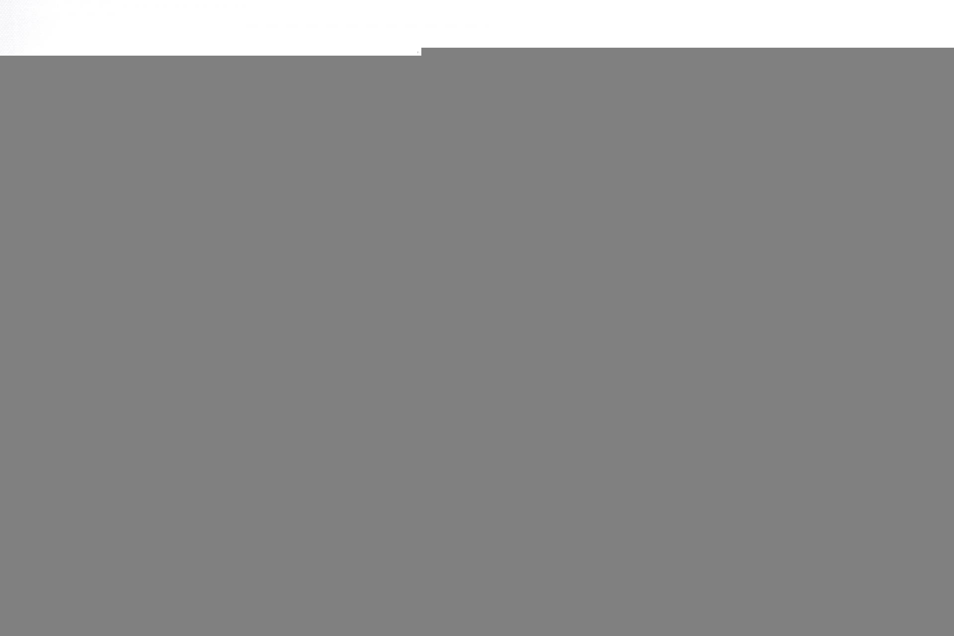 Амортизатор (передній) Smart Forfour 04-06/Mitsubishi Colt 04-12 (L)