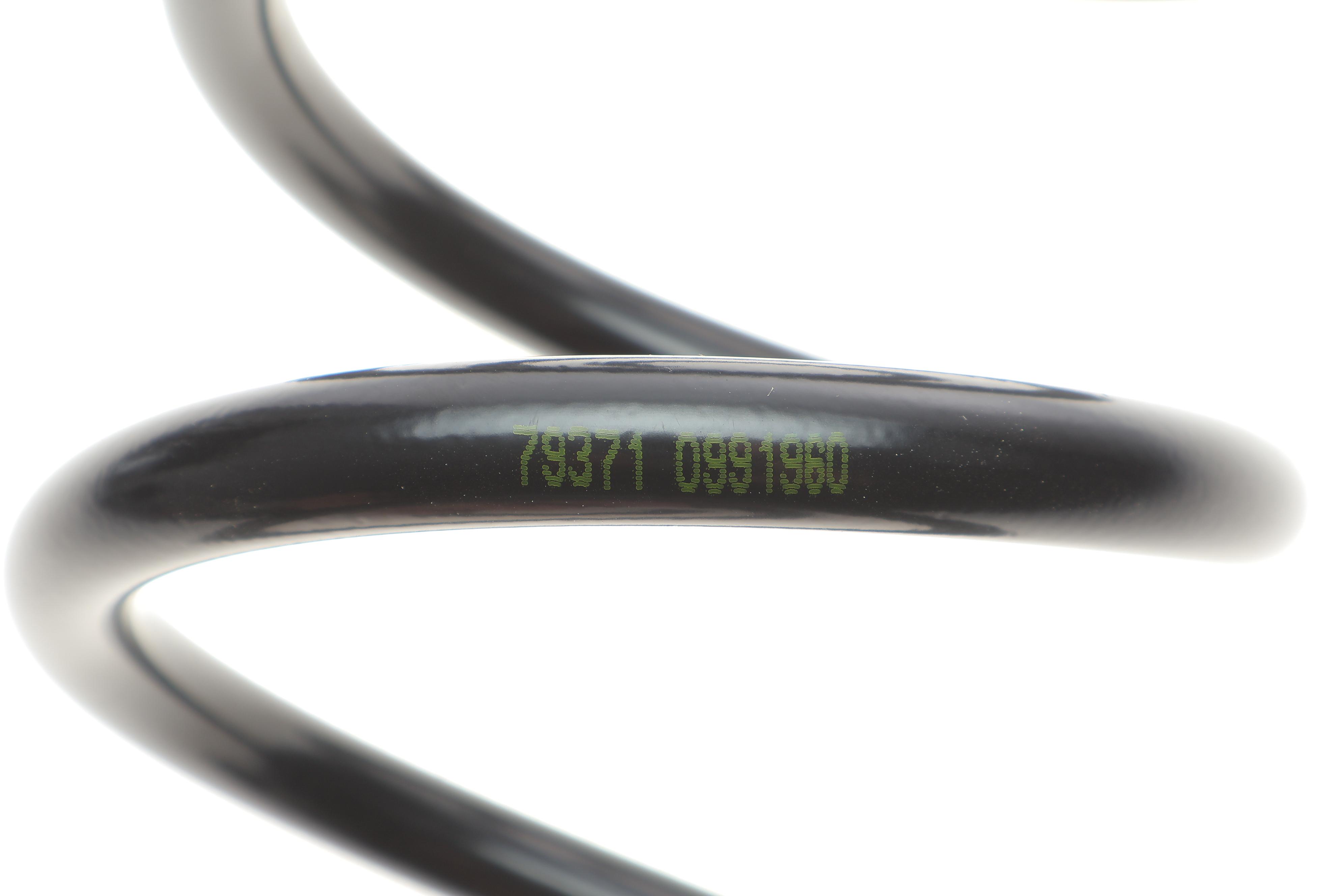 Пружина (задня) Nissan Qashqai 1.6/2.0/1.5-2.0 dCi 06-14 (SUV)