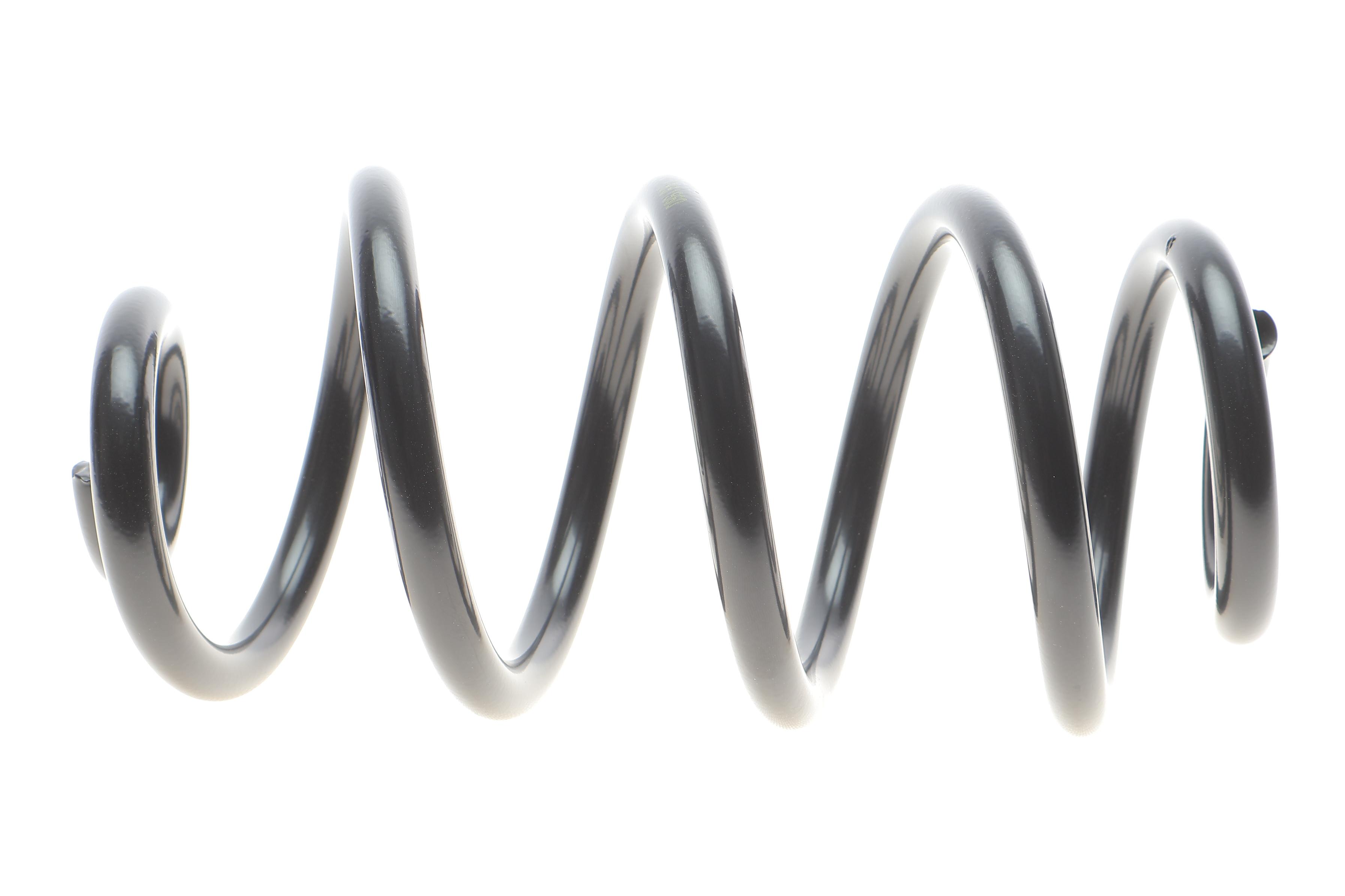 Пружина (задня) Nissan Qashqai 1.6/2.0/1.5-2.0 dCi 06-14 (SUV)