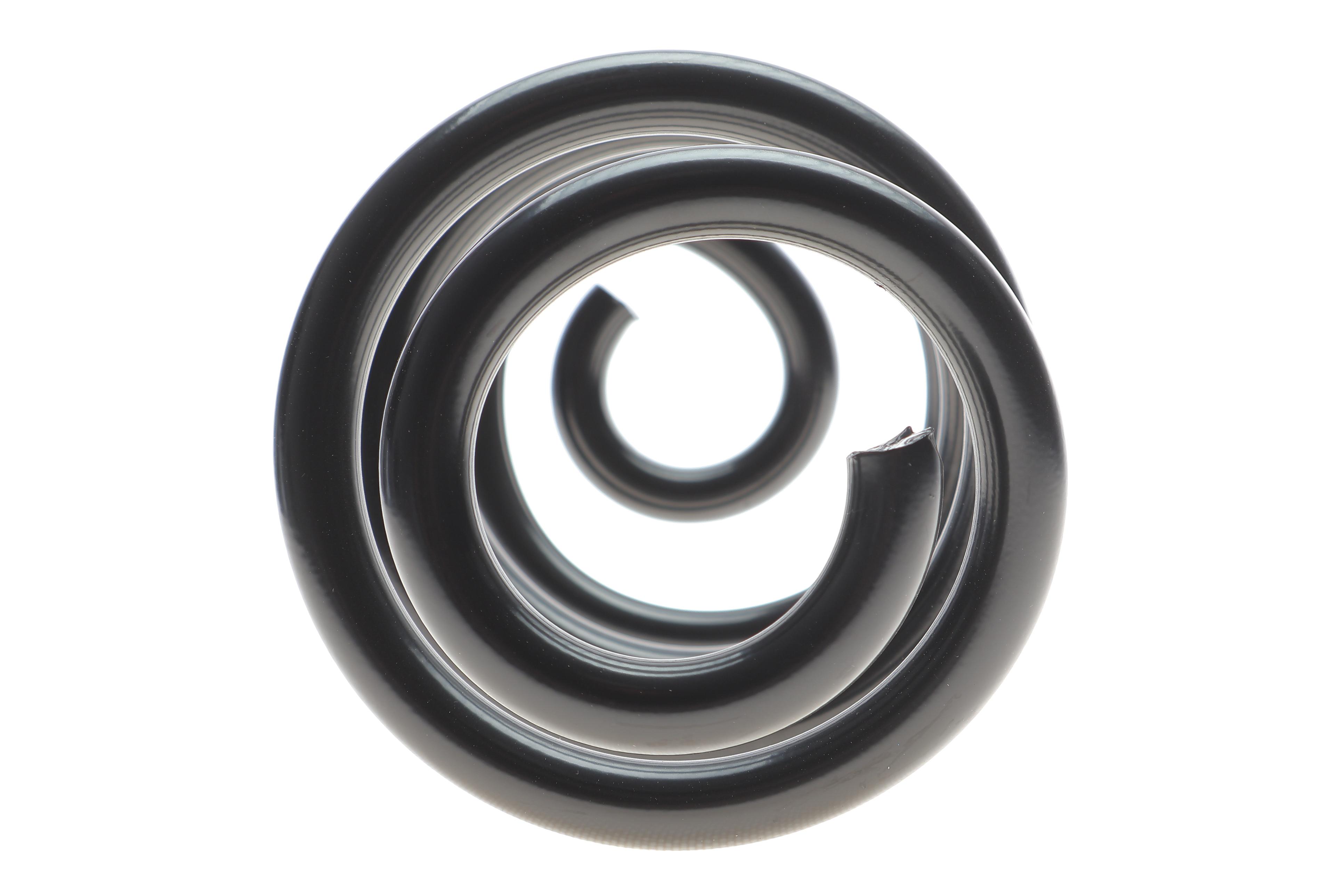 Пружина (задня) Nissan Qashqai 1.6/2.0/1.5-2.0 dCi 06-14 (SUV)