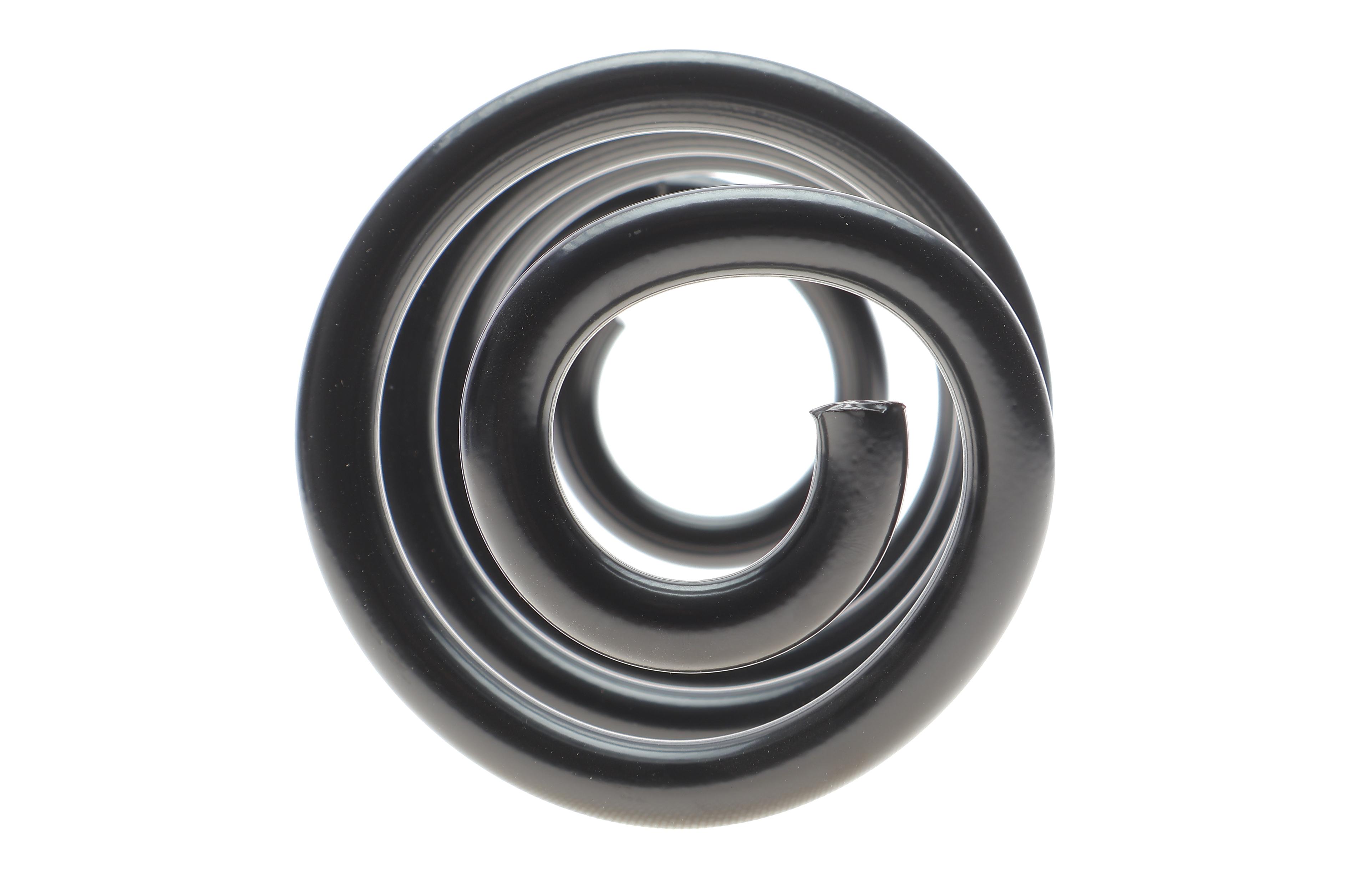 Пружина (задня) Nissan Qashqai 1.6/2.0/1.5-2.0 dCi 06-14 (SUV)