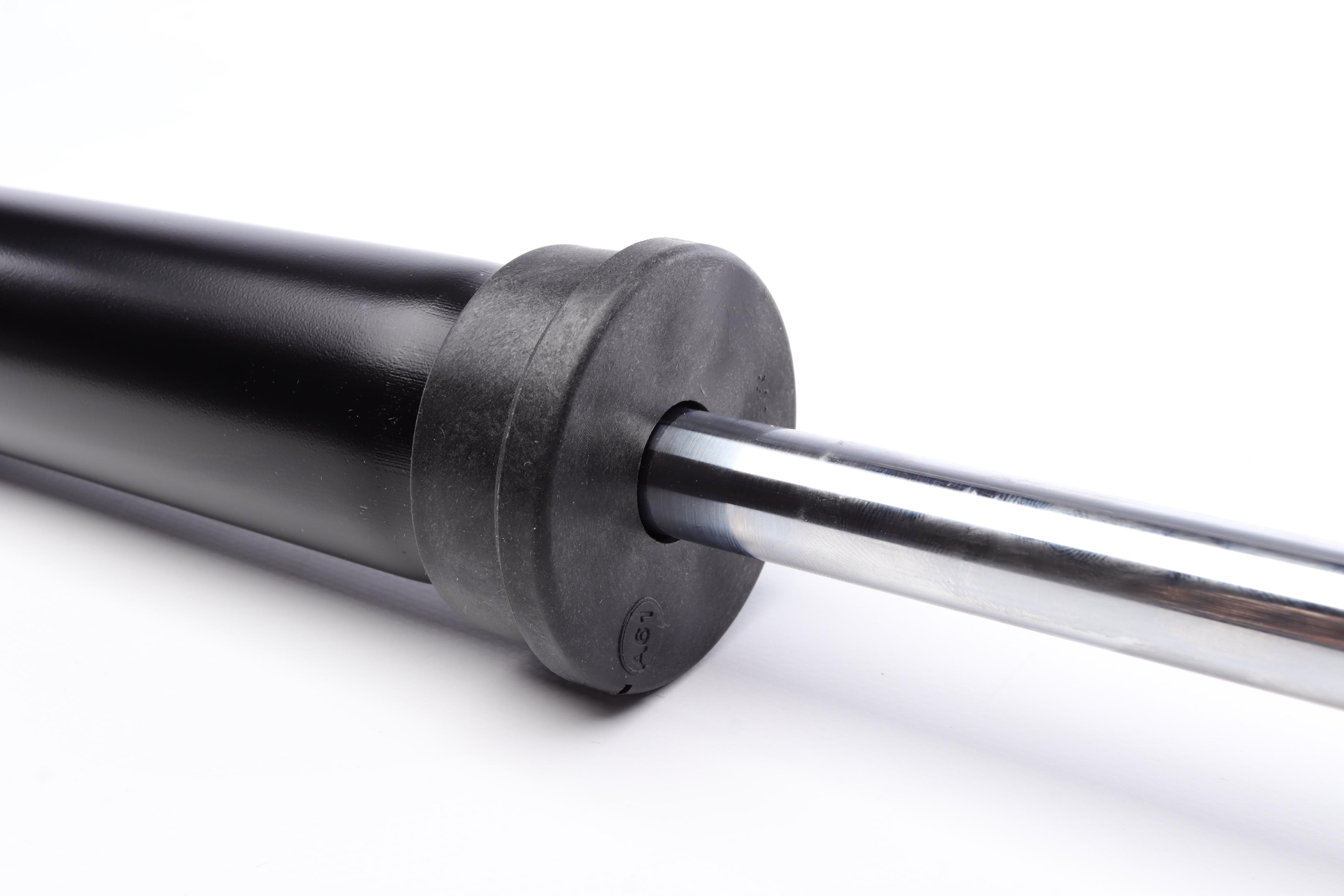 Амортизатор (задній) BMW X5/X6 13- (R) (B4)