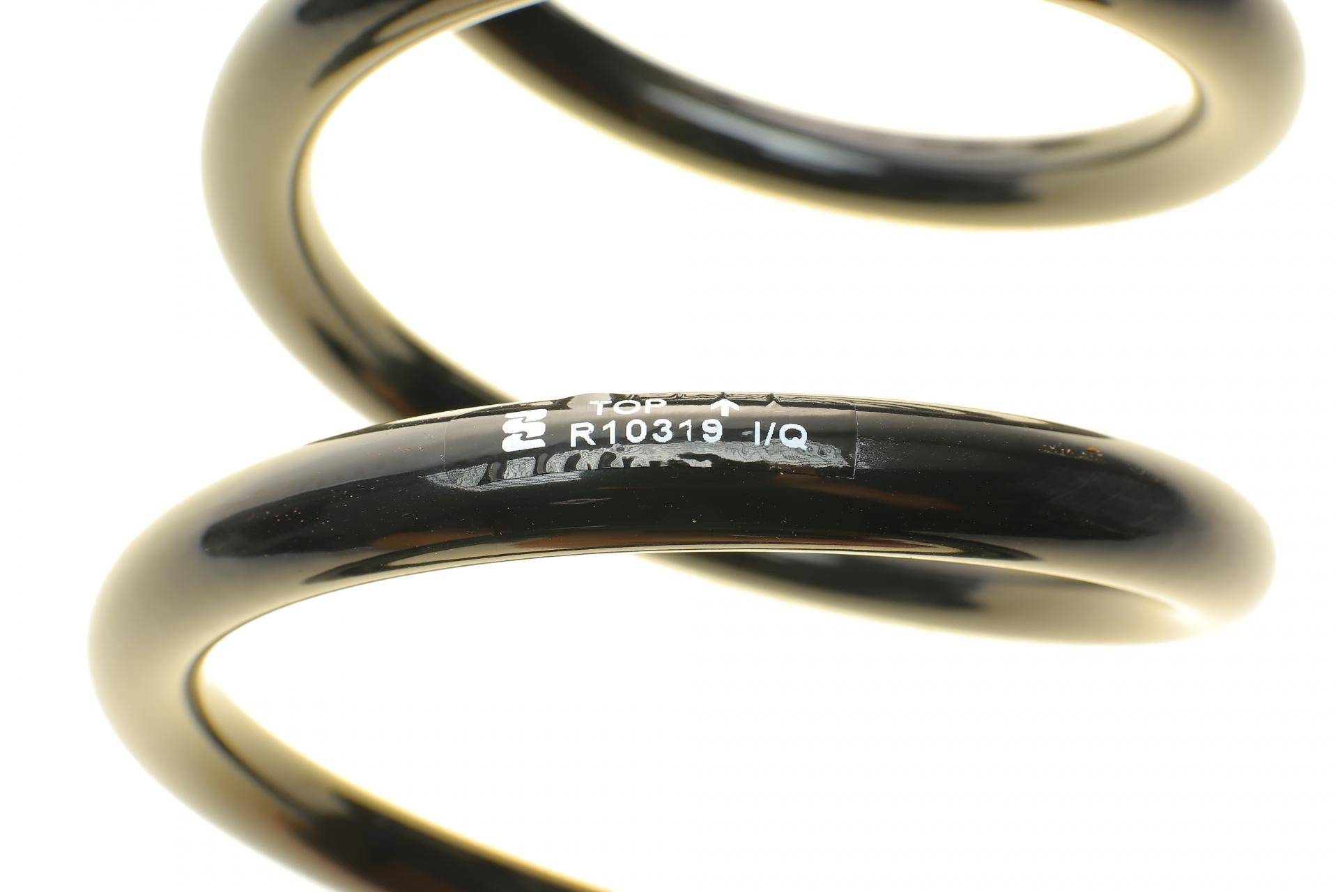 Пружина (задня) VW Passat B6 2.0BlueTDI 09-10 / B7 2.0TDI/4motion 10-14 (ос:Bluemotion)