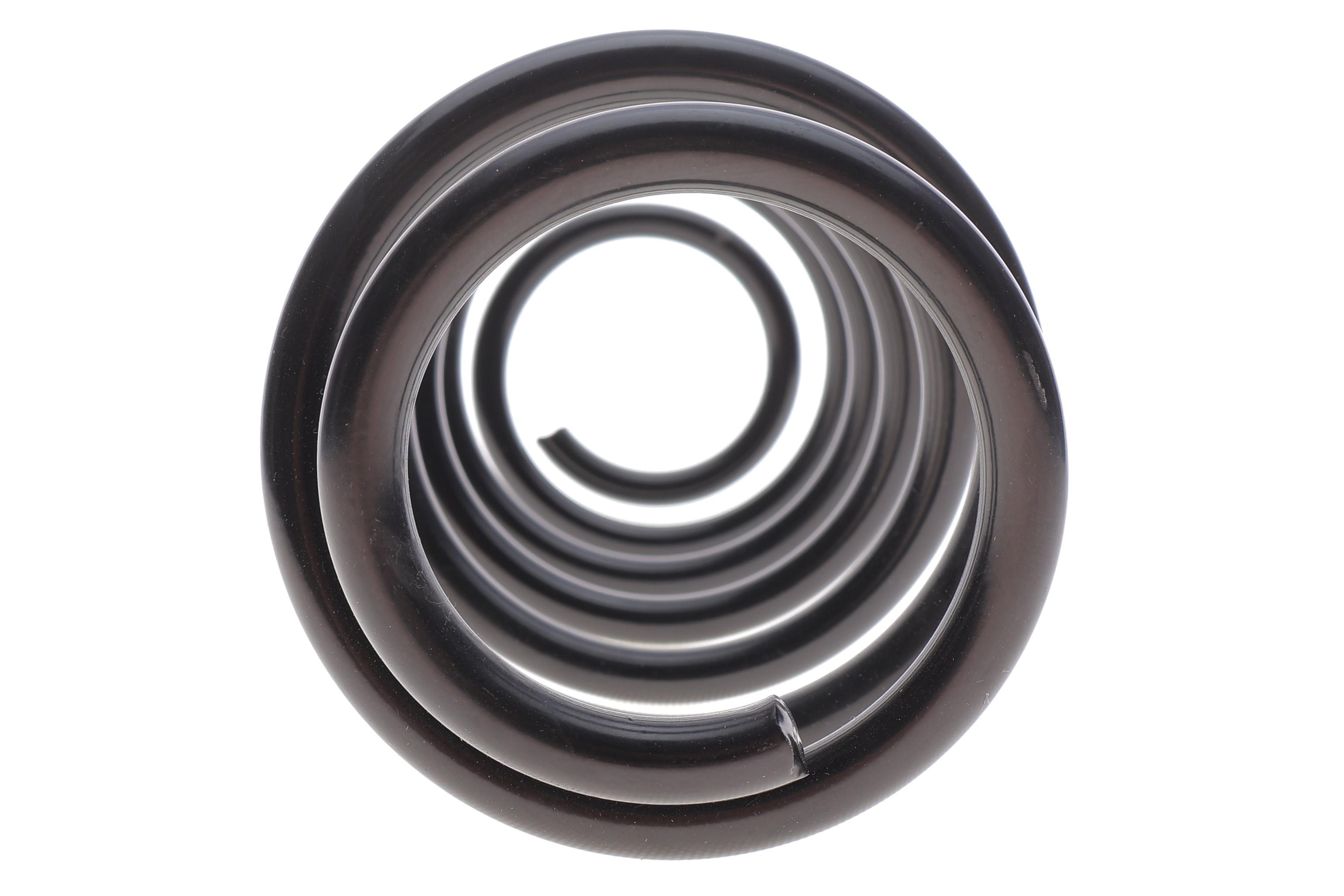 Пружина (задня) Mitsubishi Colt VI 1.1/1.3/1.5/1.5DI-D 04-12 (нах.зад.частина)