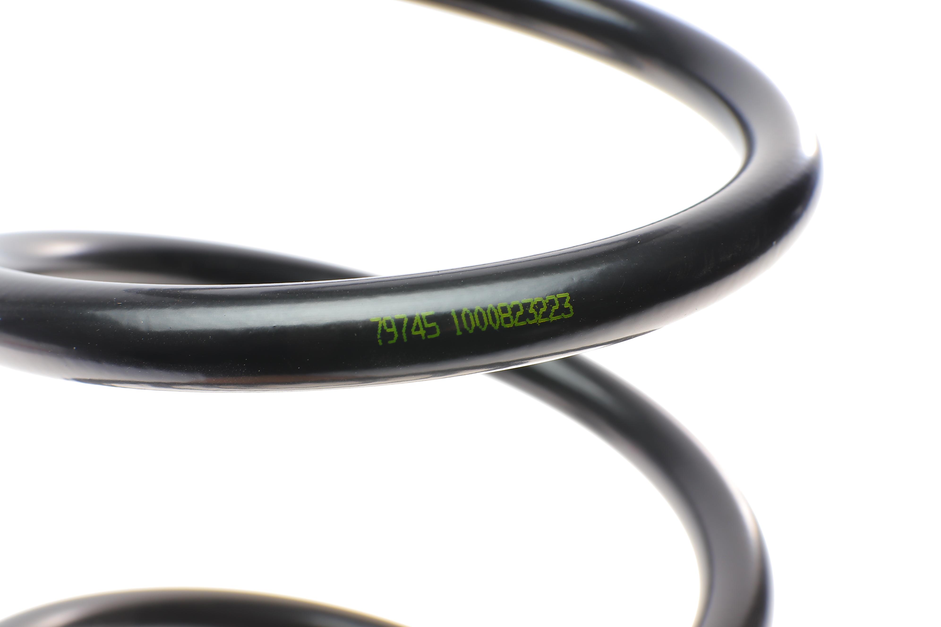 Пружина (задня) Fiat Doblo/Opel Combo 1.3D-2.0D/CDTI 10- (довг.база) (Opel не для підвищ.нагр.)