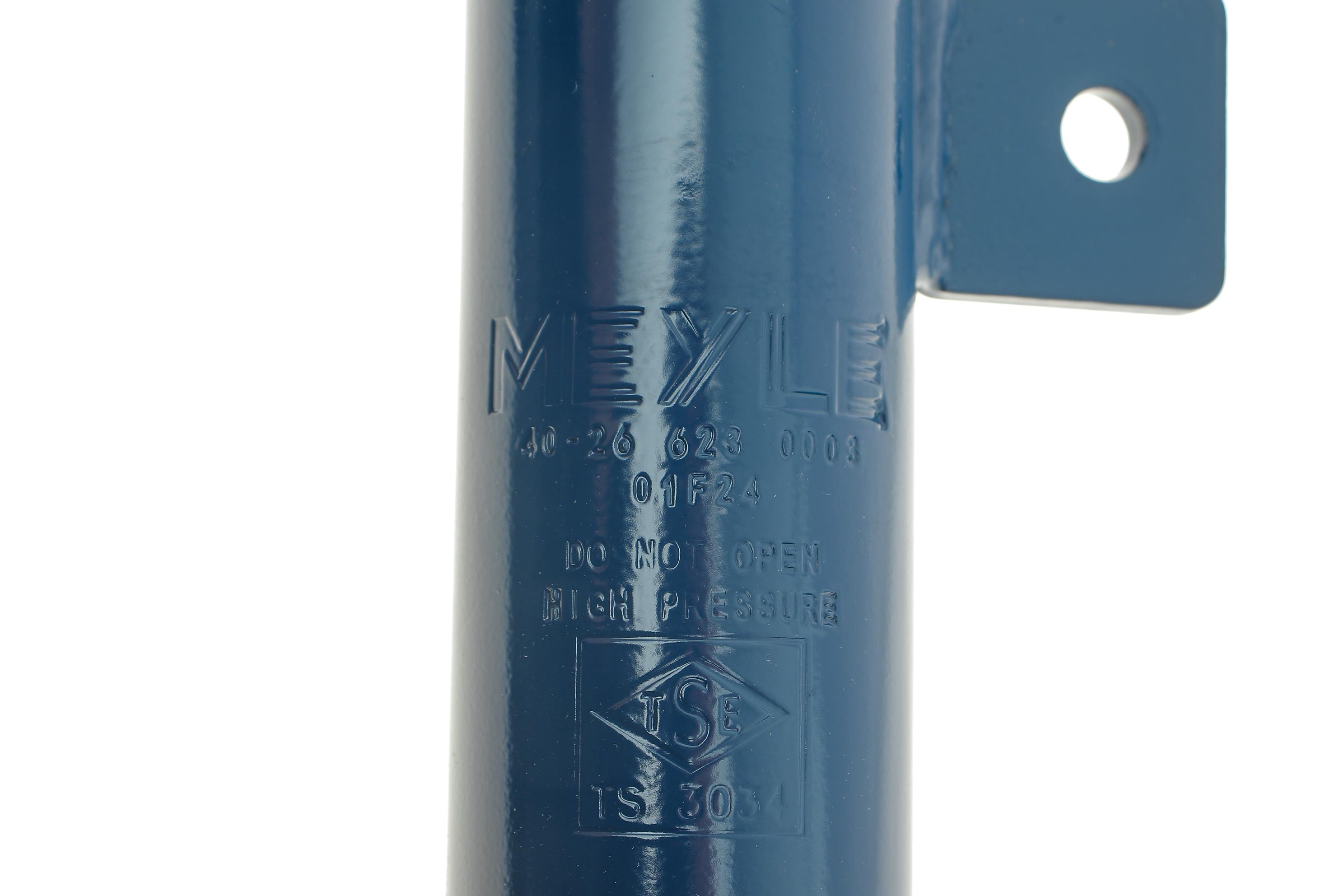 Амортизатор (передній) Citroen C2/ C3 02-/ Peugeot 1007 05- (R)