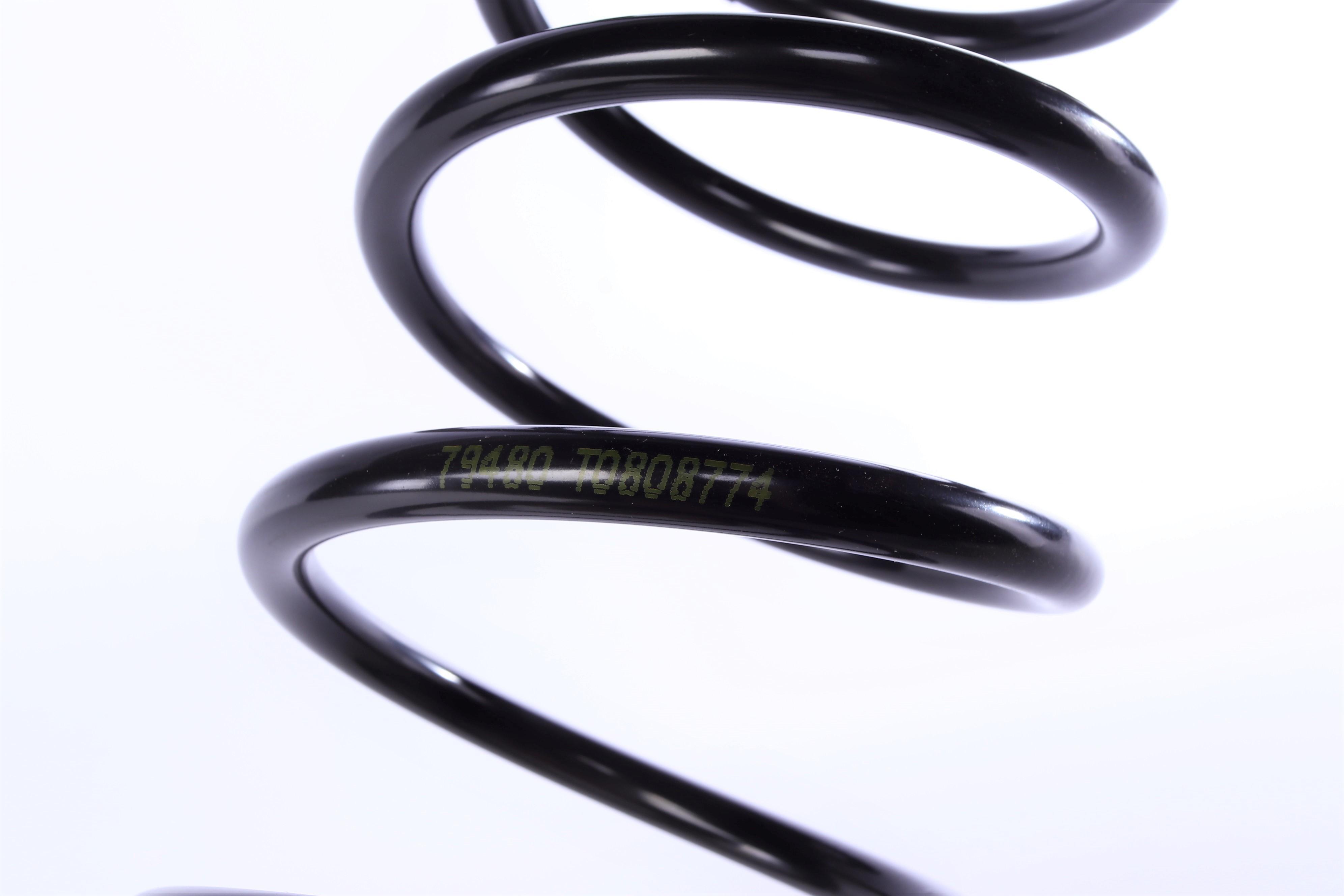 Пружина (задня) Hyundai i10 1.1/1.1CRDi/1.2 07-13 (нах.зад.частина)