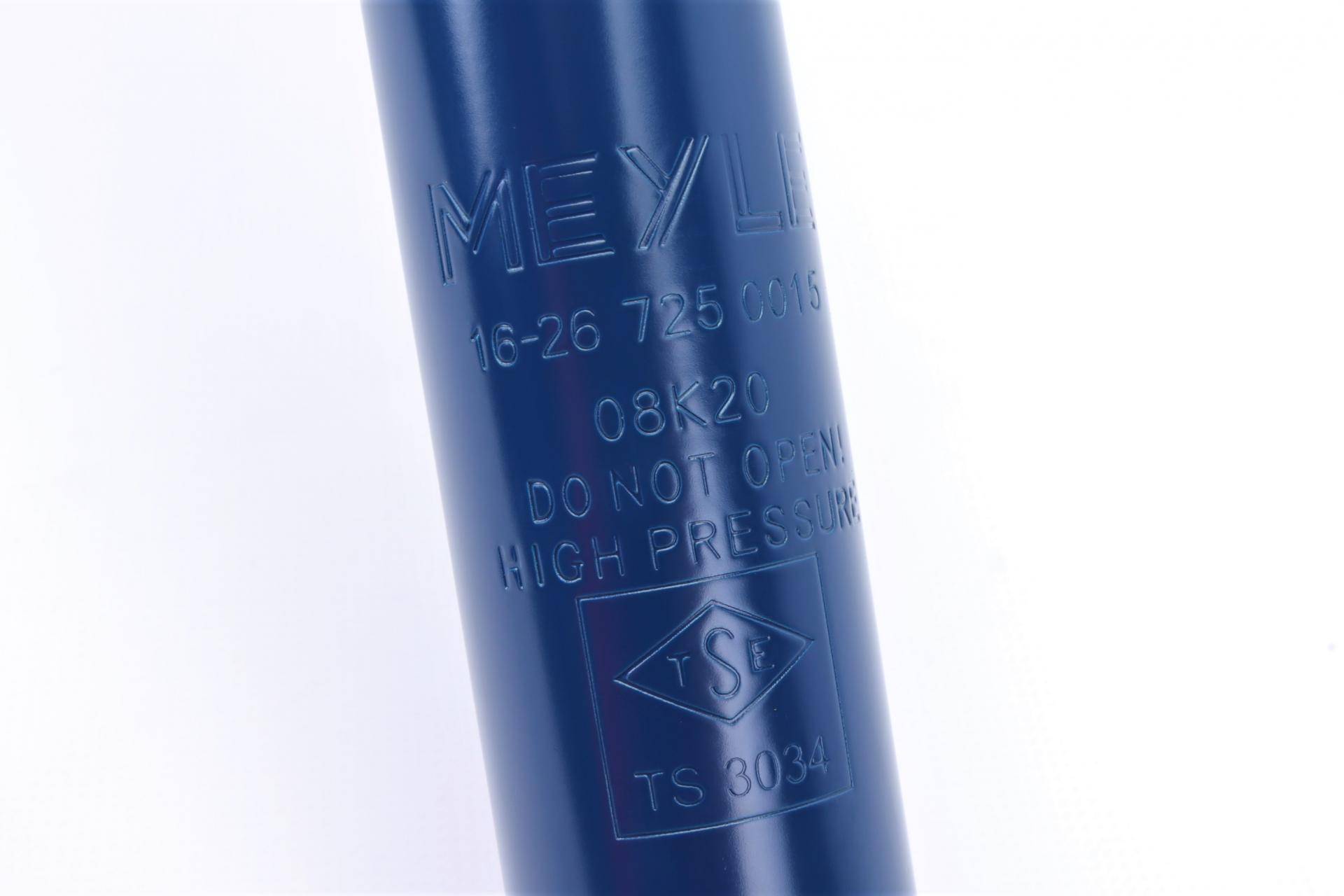 Амортизатор (задній) Renault Twingo 1.2/1.5/1.6 07-