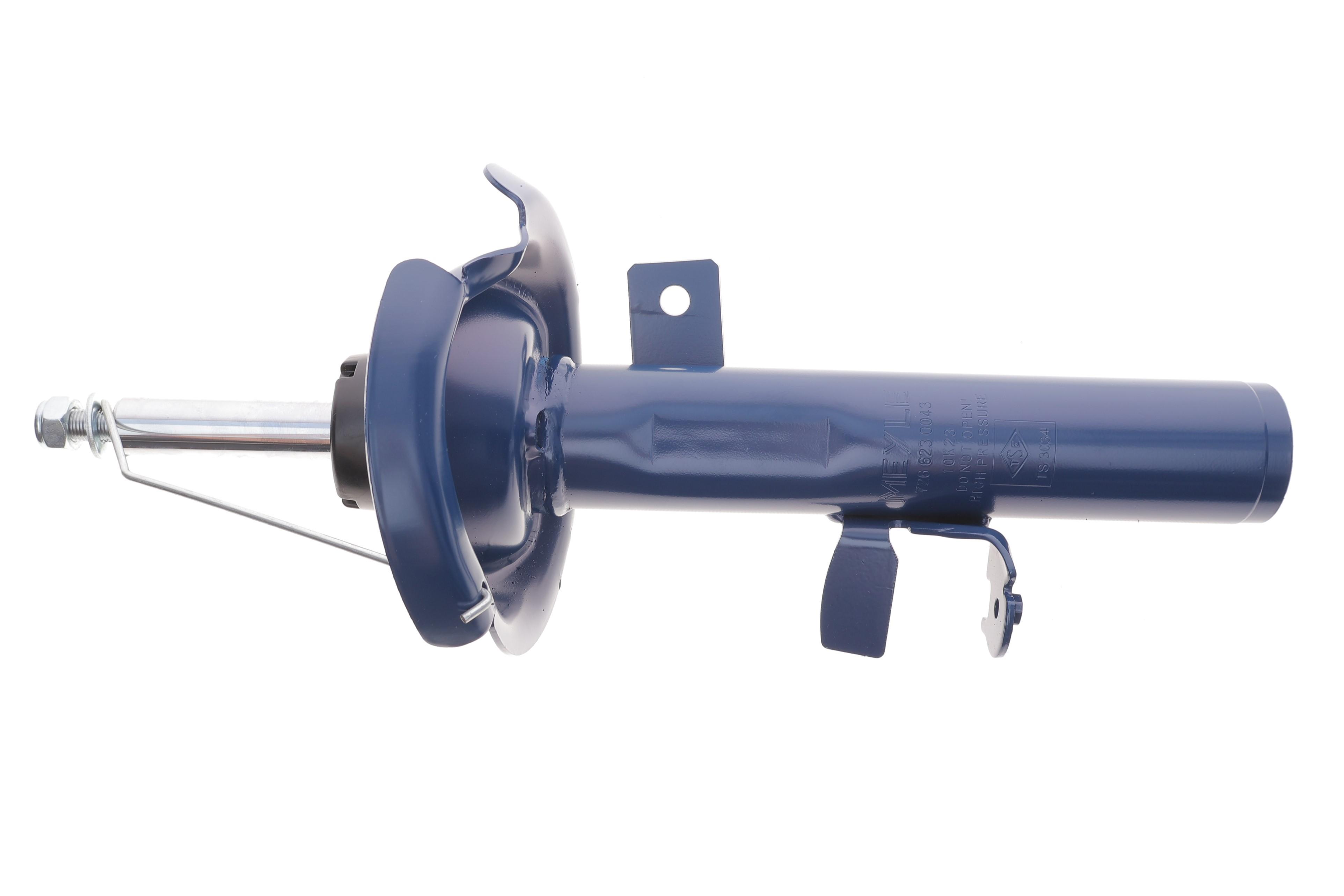 Амортизатор (передній) Ford Focus III 10-/C-max 10- (L)