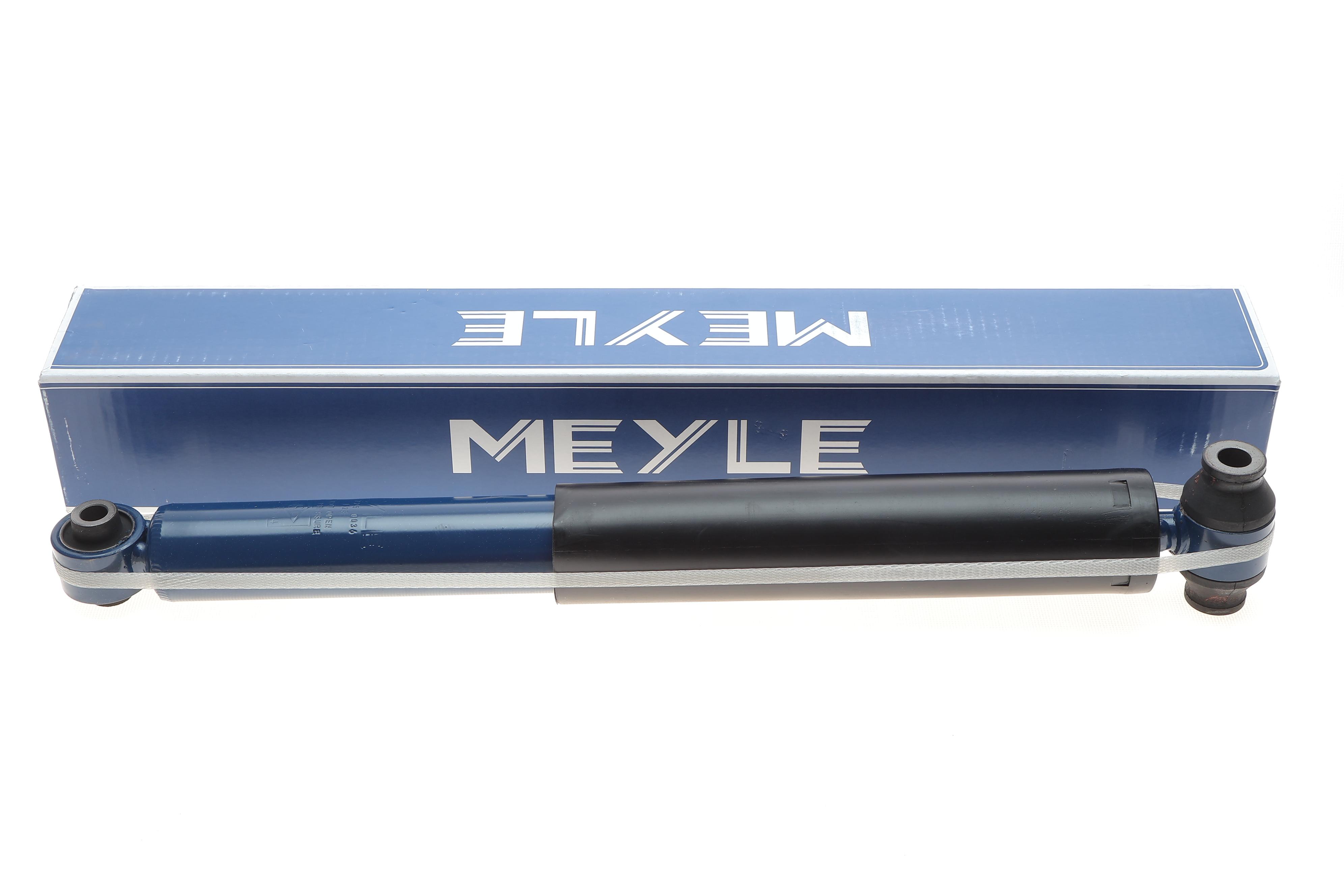 Амортизатор (задній) Ford Transit (V363) 14- (RWD)