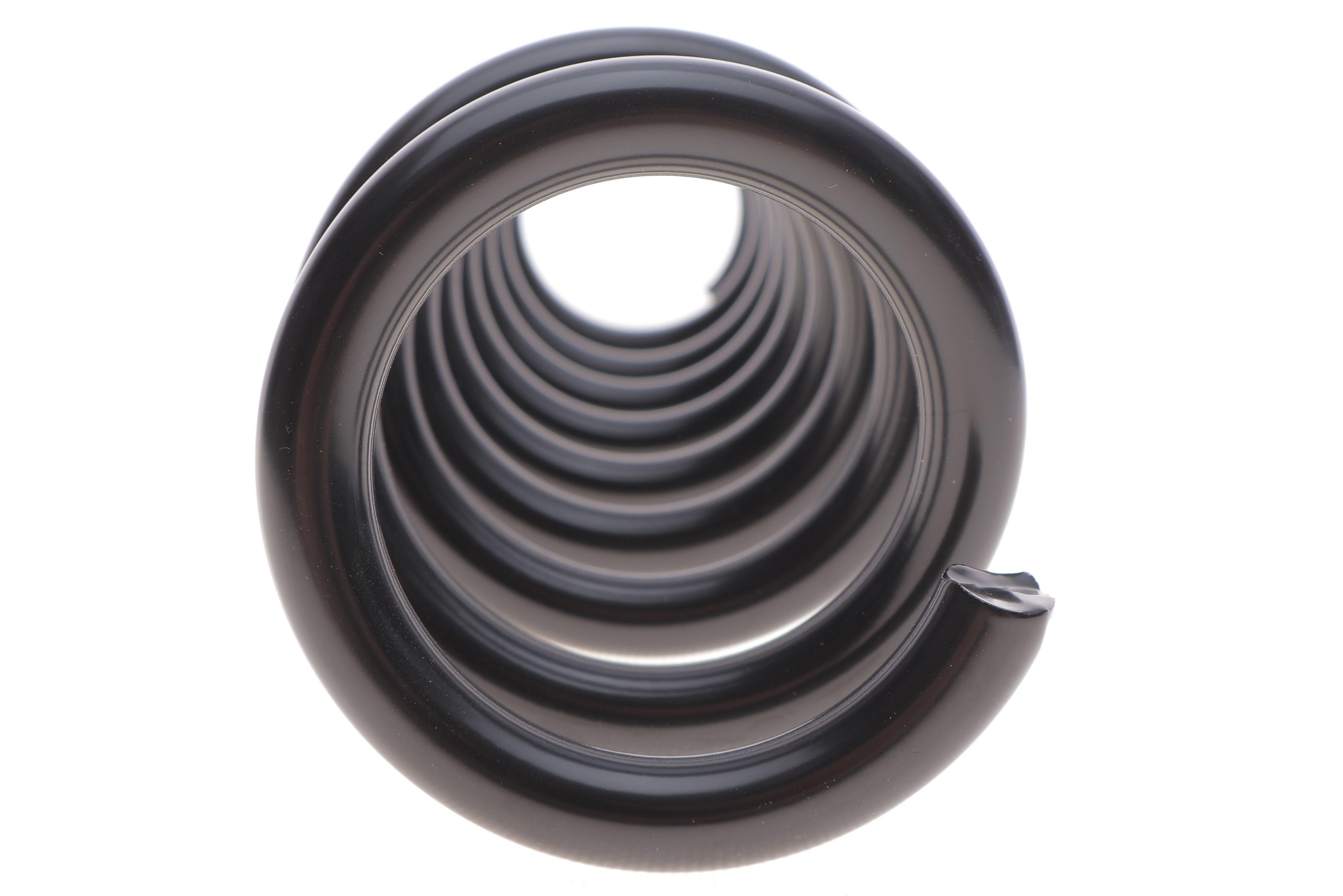 Пружина (задня) BMW 1 (F20) 1.5-2.0/1.5-2.0d 11-19 (хетчбек/фургон) (без M-техніки)