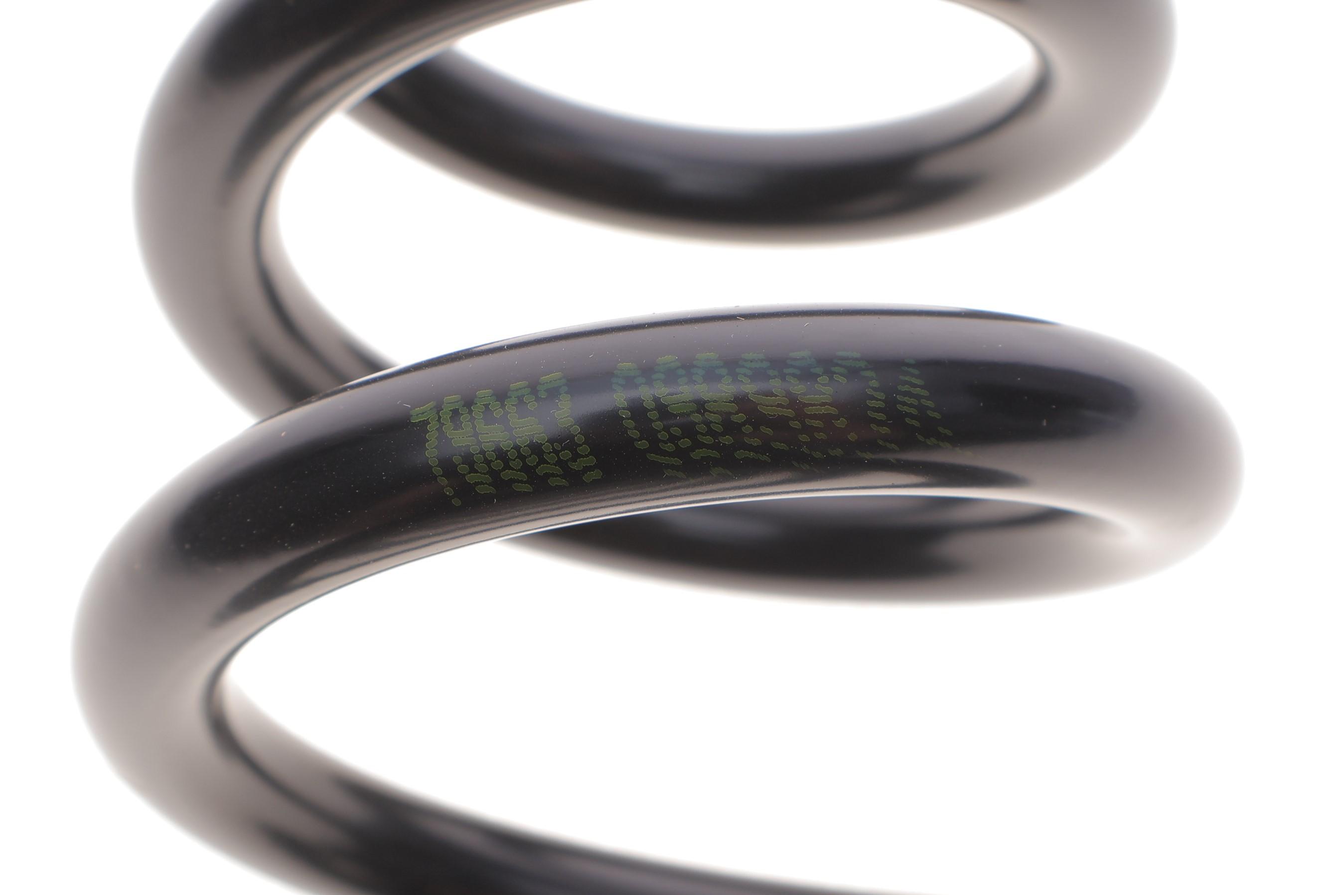 Пружина (задня) BMW 1 (F20) 1.5-2.0/1.5-2.0d 11-19 (хетчбек/фургон) (без M-техніки)