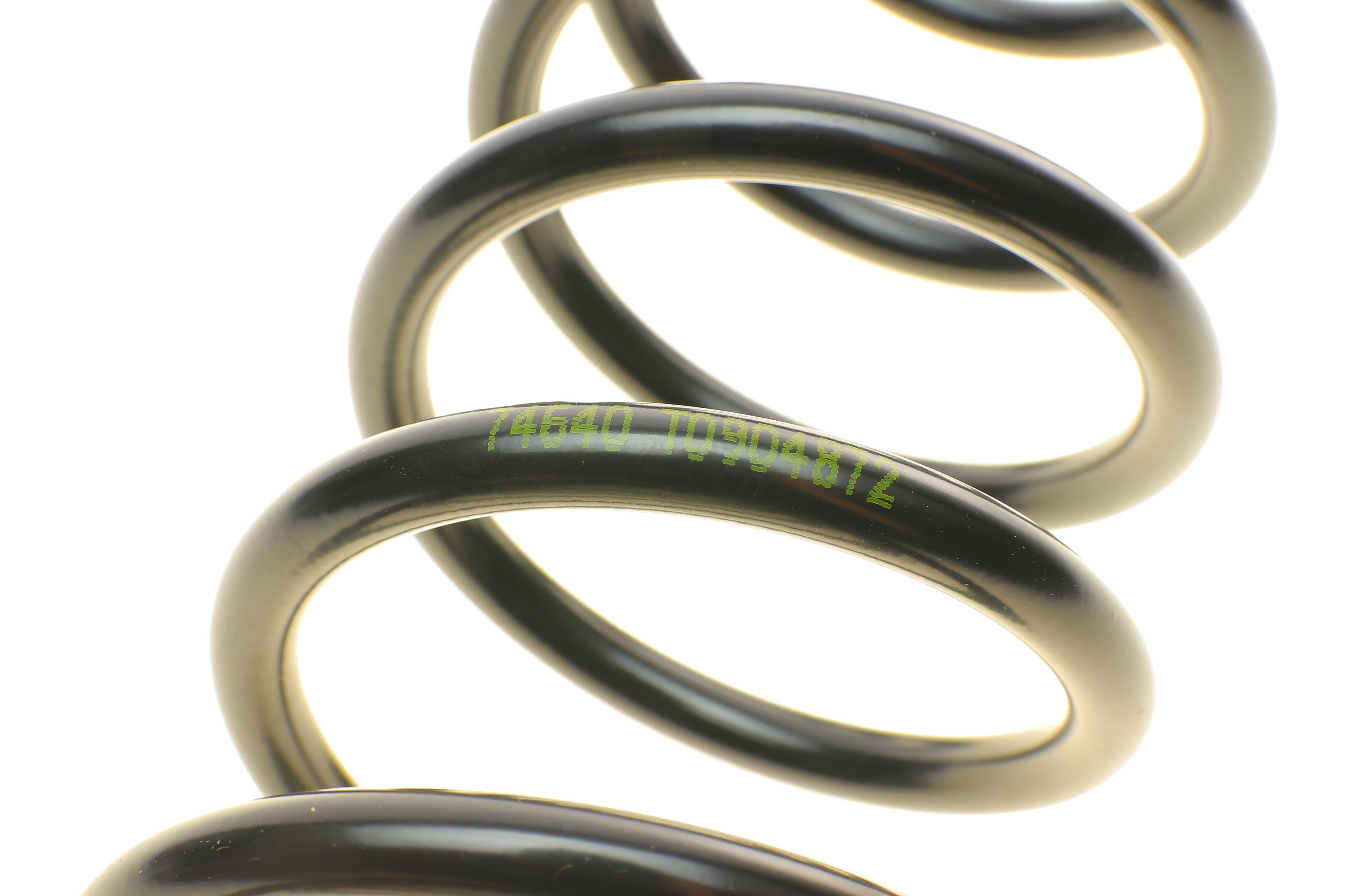 Пружина (задня) Volvo S40 1.6-2.0/1.9DI 00-03 (седан)