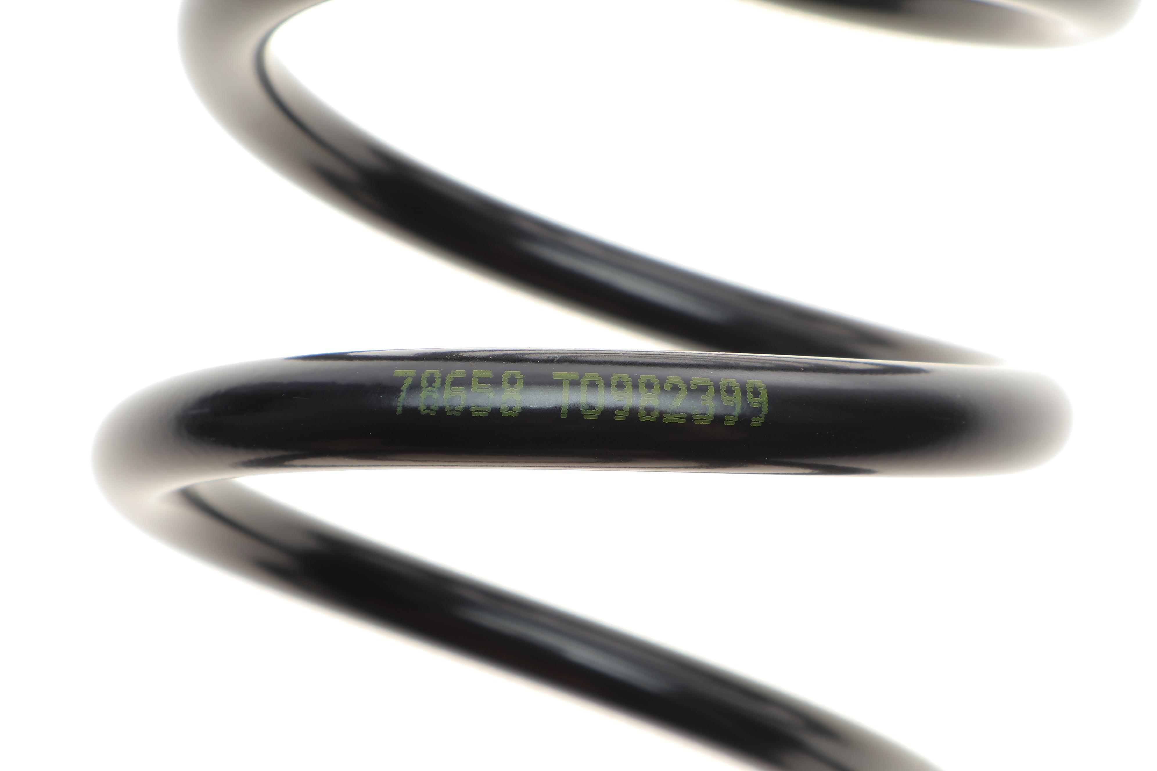 Пружина (задня) Seat Toledo III 1.6/1.8TFSI/1.9-2.0TDI 04-09 (вен)/Ford Transit Courier B460 14-