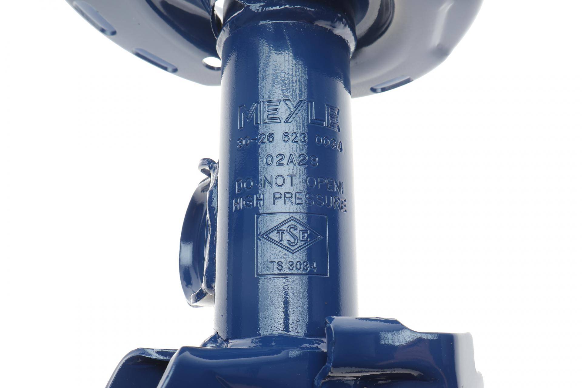 Амортизатор (передній) (L) Toyota Auris/Corolla 06-19