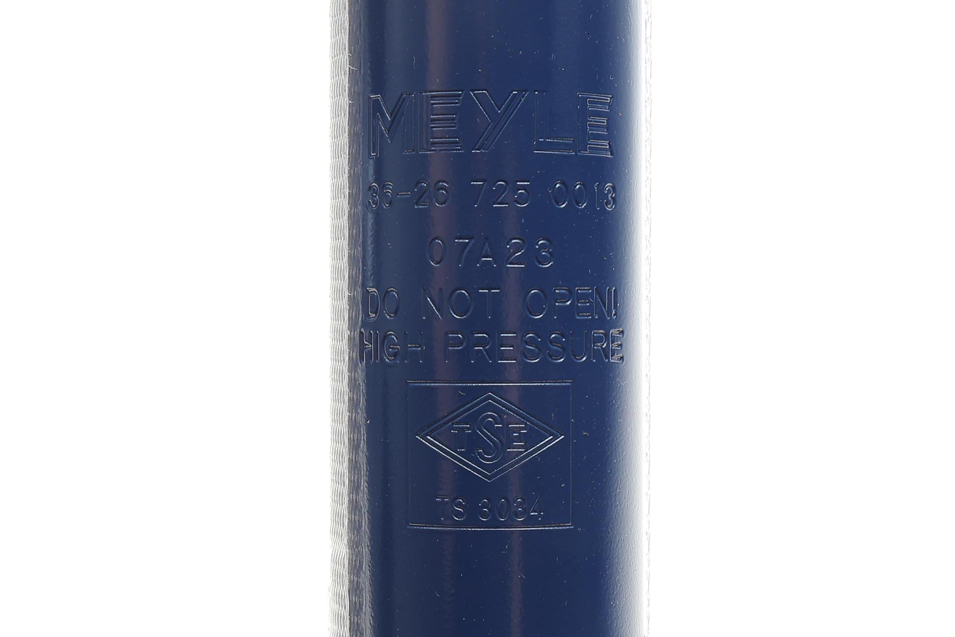 Амортизатор (задній) Nissan Juke 10-