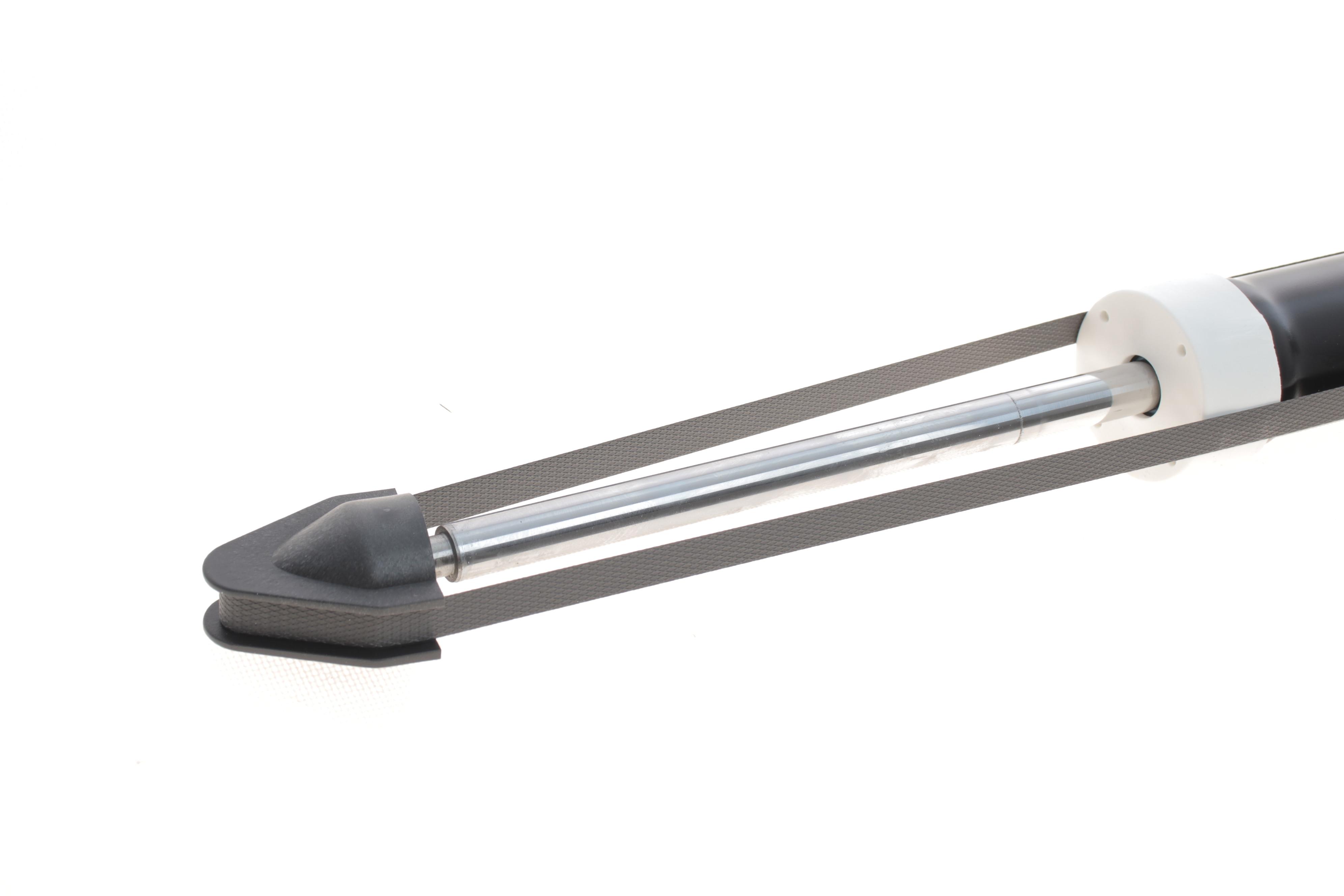 Амортизатор (задній) Hyundai Ioniq 16- (тиск газу) (B4)