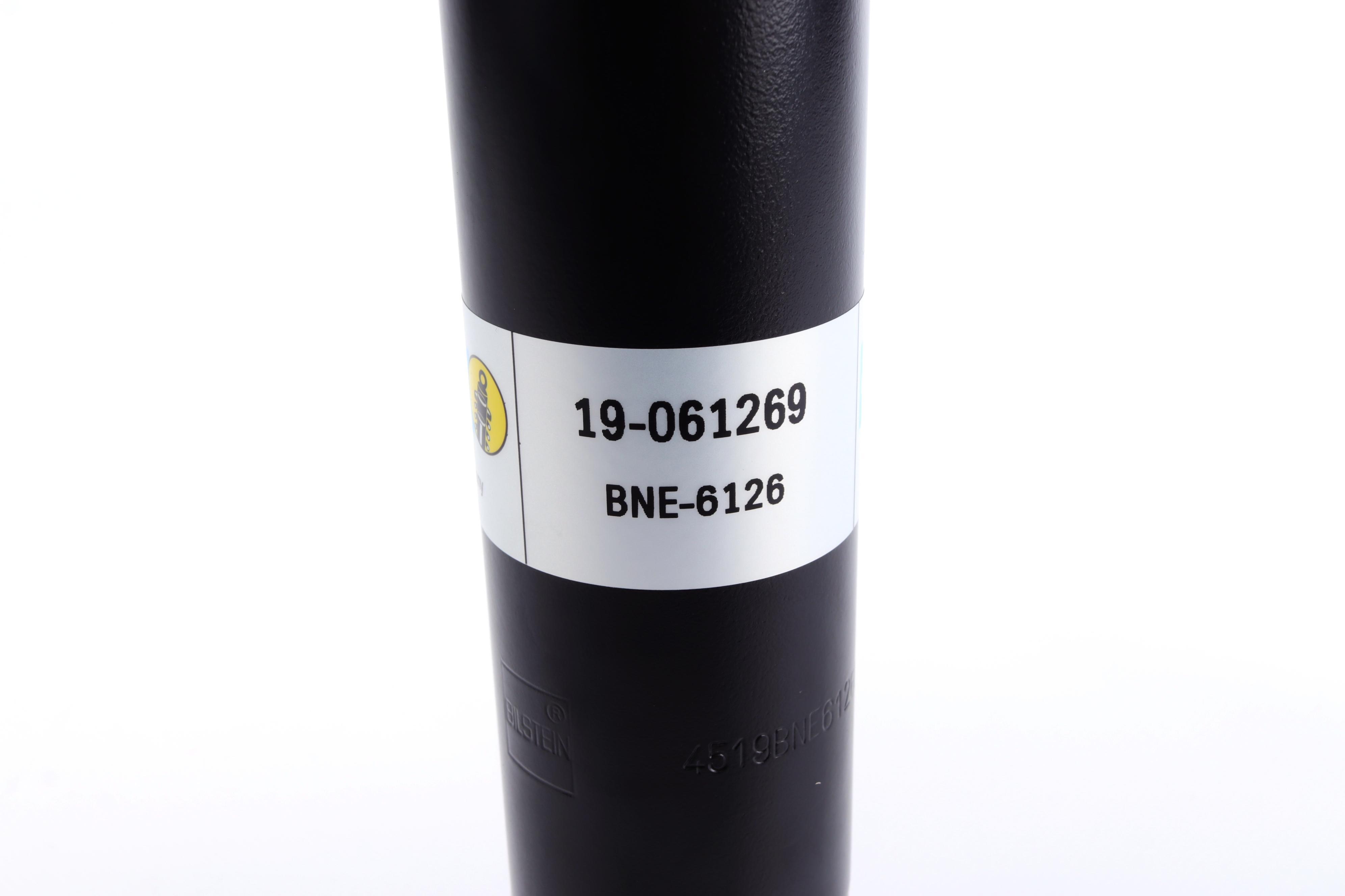 Амортизатор (задній) Renault Scenic I 96-03 (тиск газу) (B4)