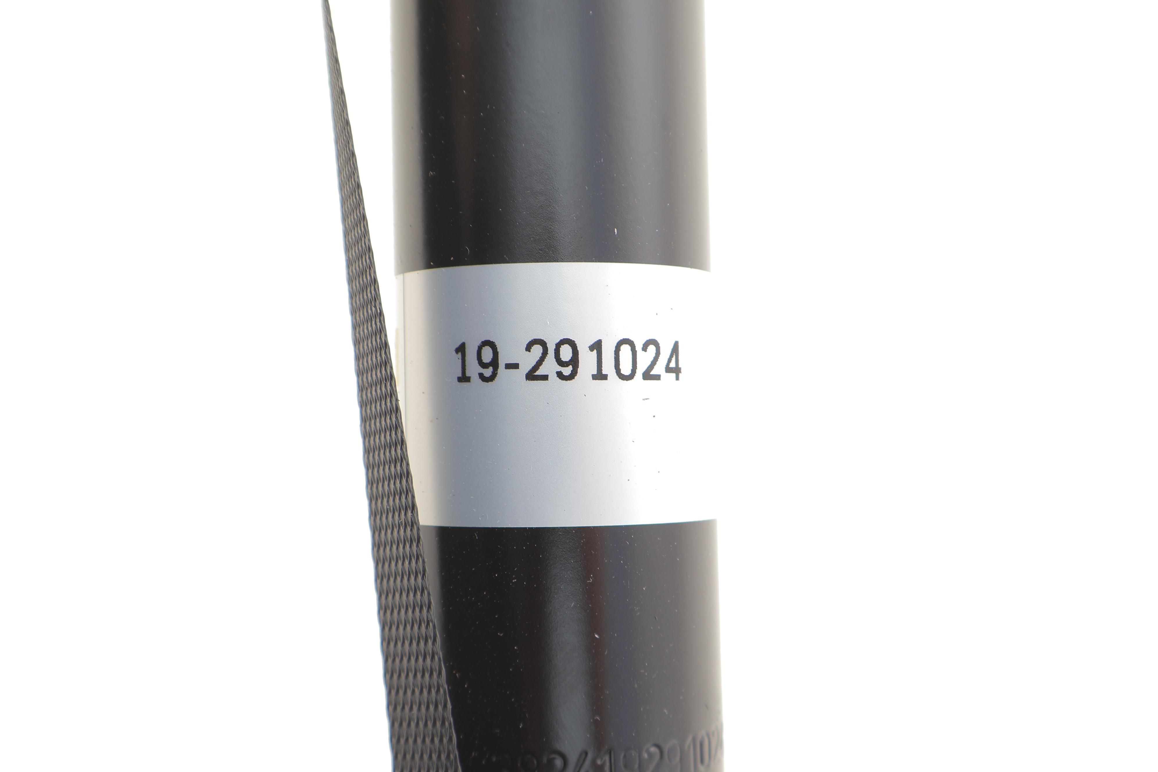 Амортизатор (задній) Honda Civic X 1.0/1.5 VTEC/1.6 i-DTEC 17-22 (Gas) (B4)