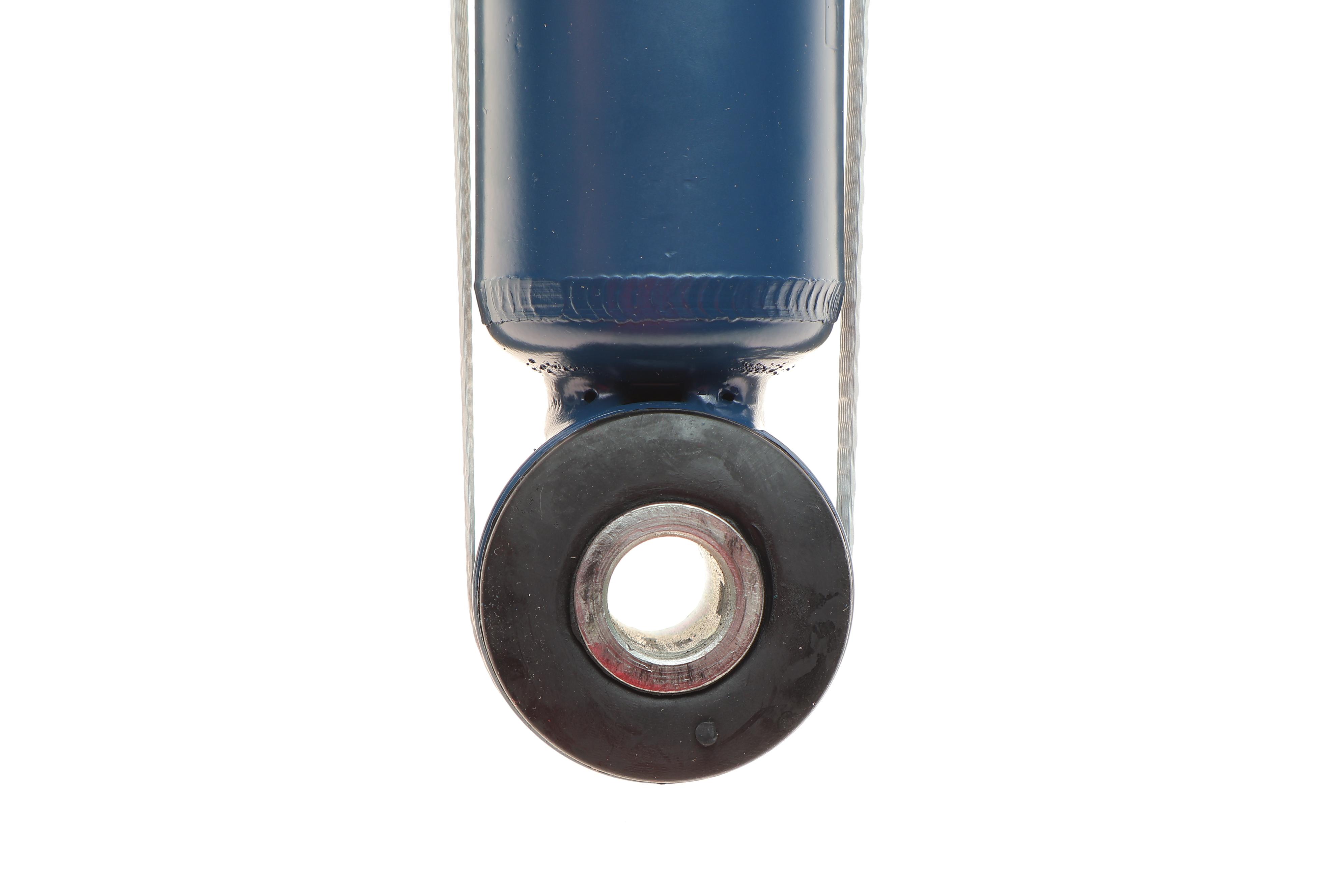 Амортизатор (задній) Renault Clio III 05-14/Modus 04-