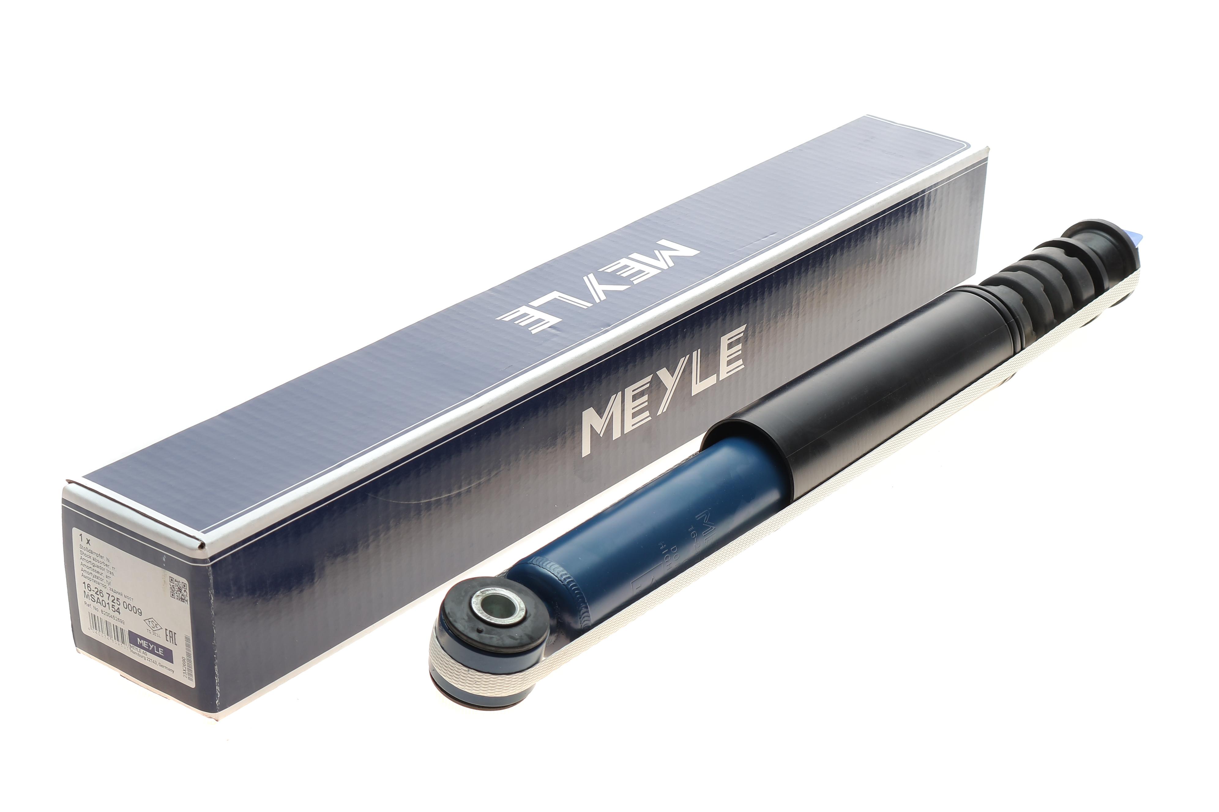 Амортизатор (задній) Renault Clio III 05-14/Modus 04-