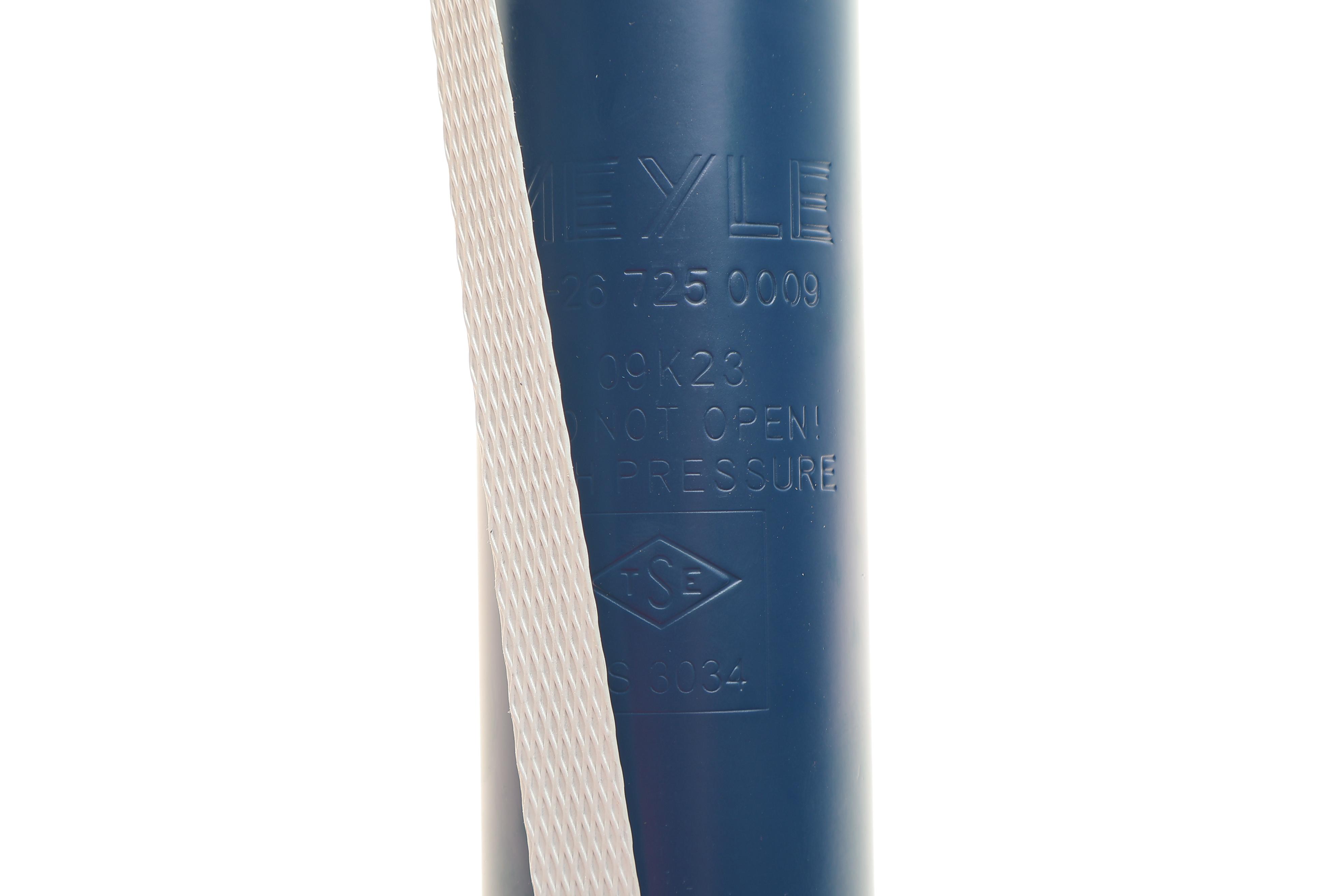 Амортизатор (задній) Renault Clio III 05-14/Modus 04-