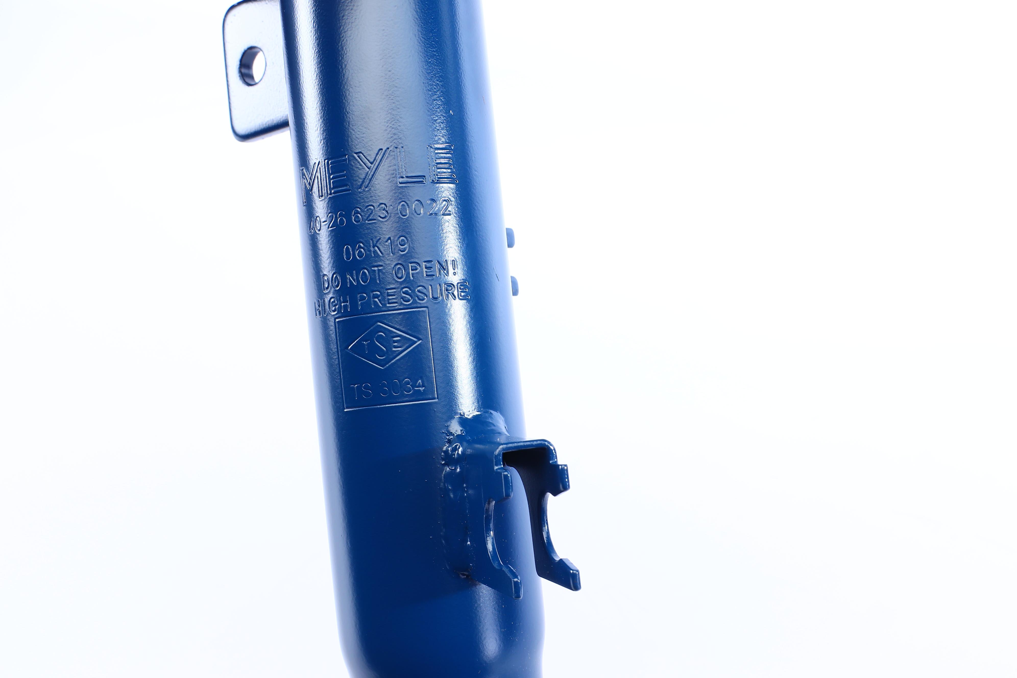 Амортизатор (передній) Citroen C3 II 1.1-1.6D 09- (L)