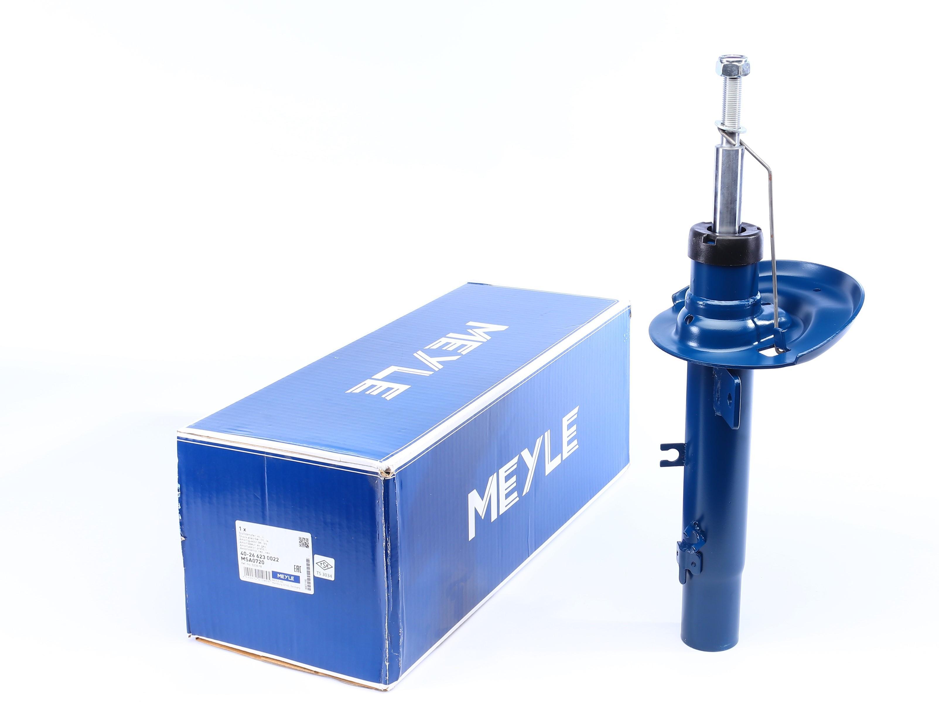 Амортизатор (передній) Citroen C3 II 1.1-1.6D 09- (L)