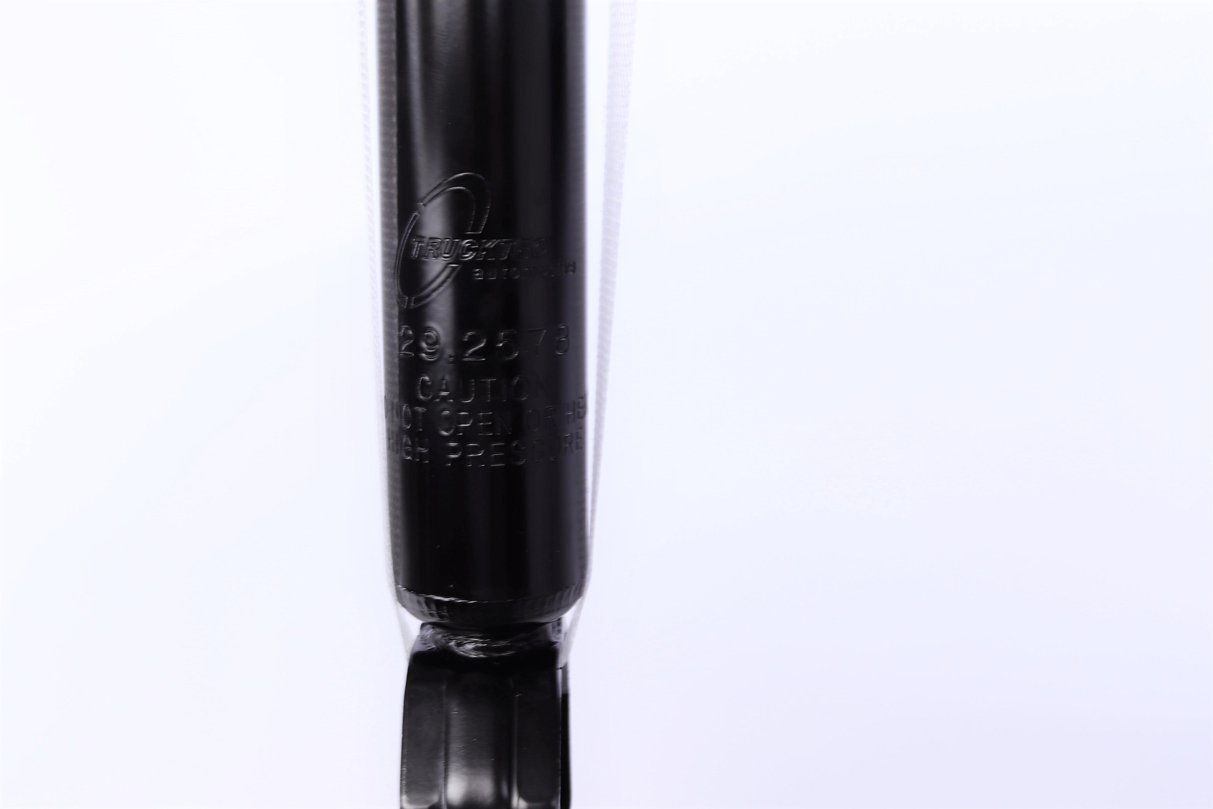 Амортизатор (передній) MB E-class (W211) 02-08