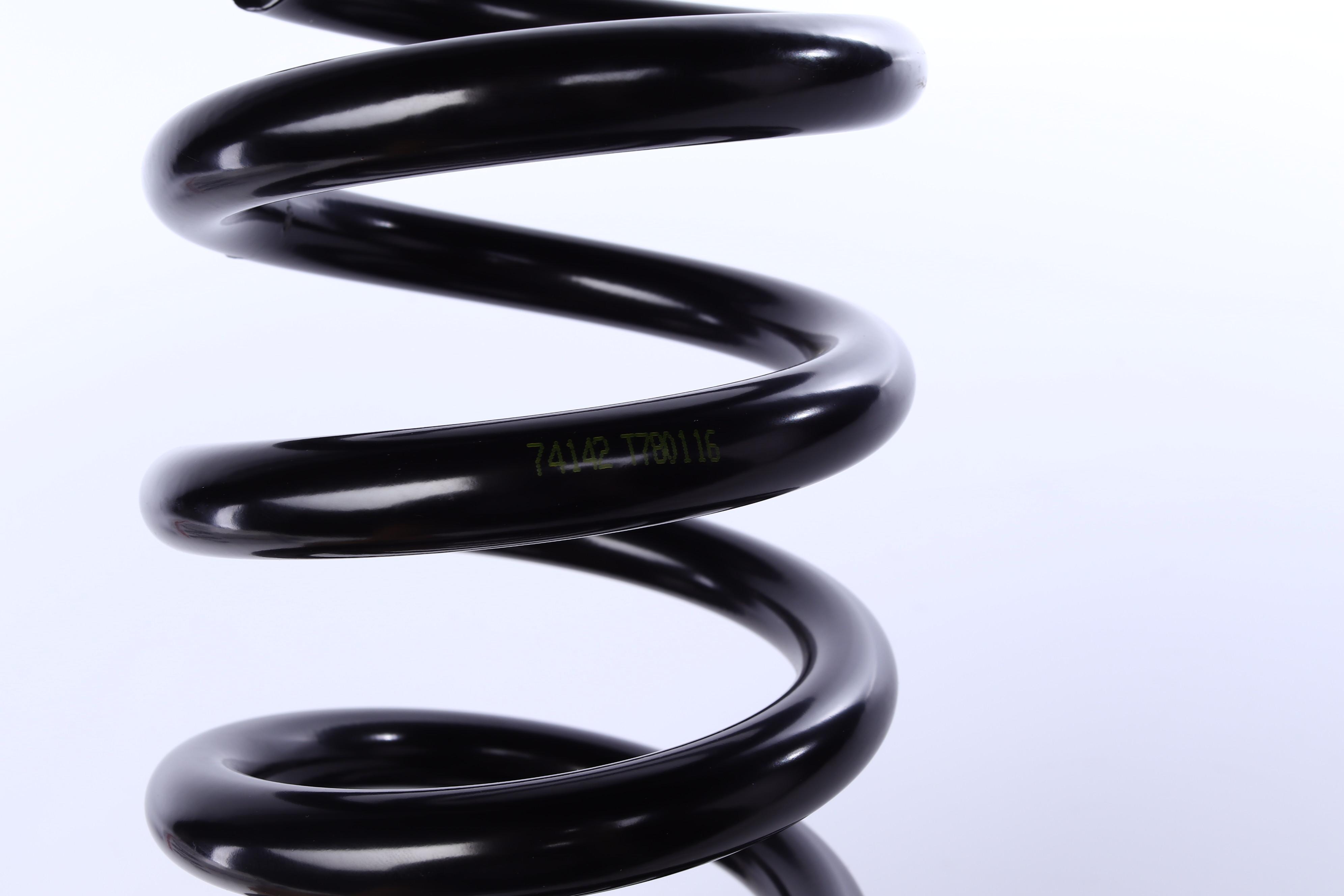 Пружина (передня) MB E-class (W210/S210) E270/320CDI/E280/320/430 96-03 (седан/унив)(ос:Avantgarde)