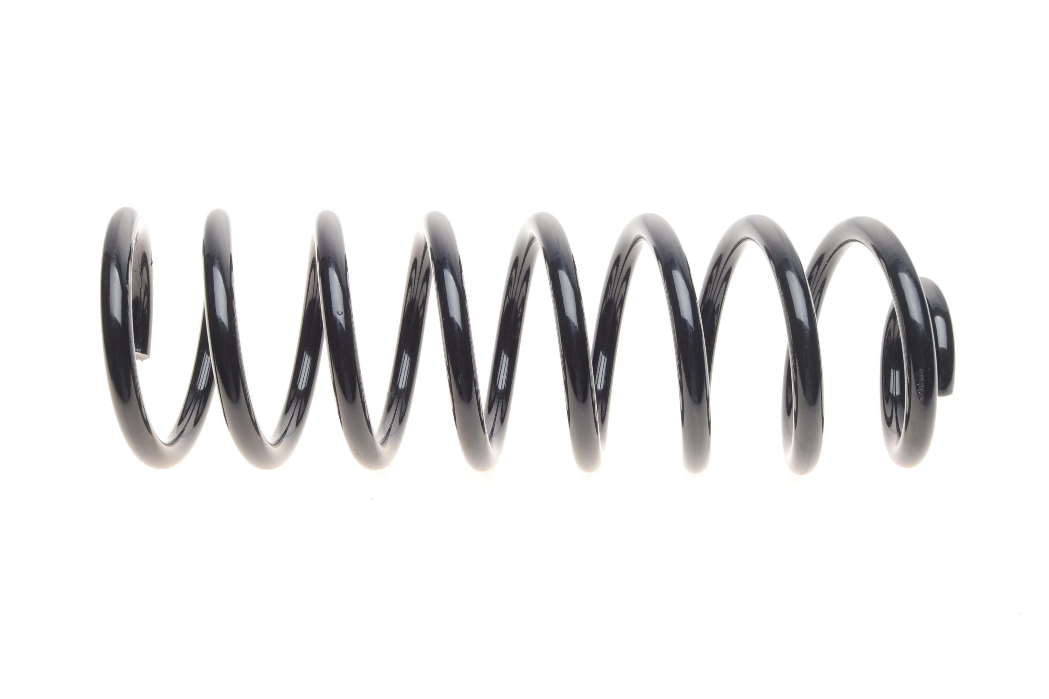 Пружина (задня) Dacia Logan 1.4-1.6/1.5dCi 04-