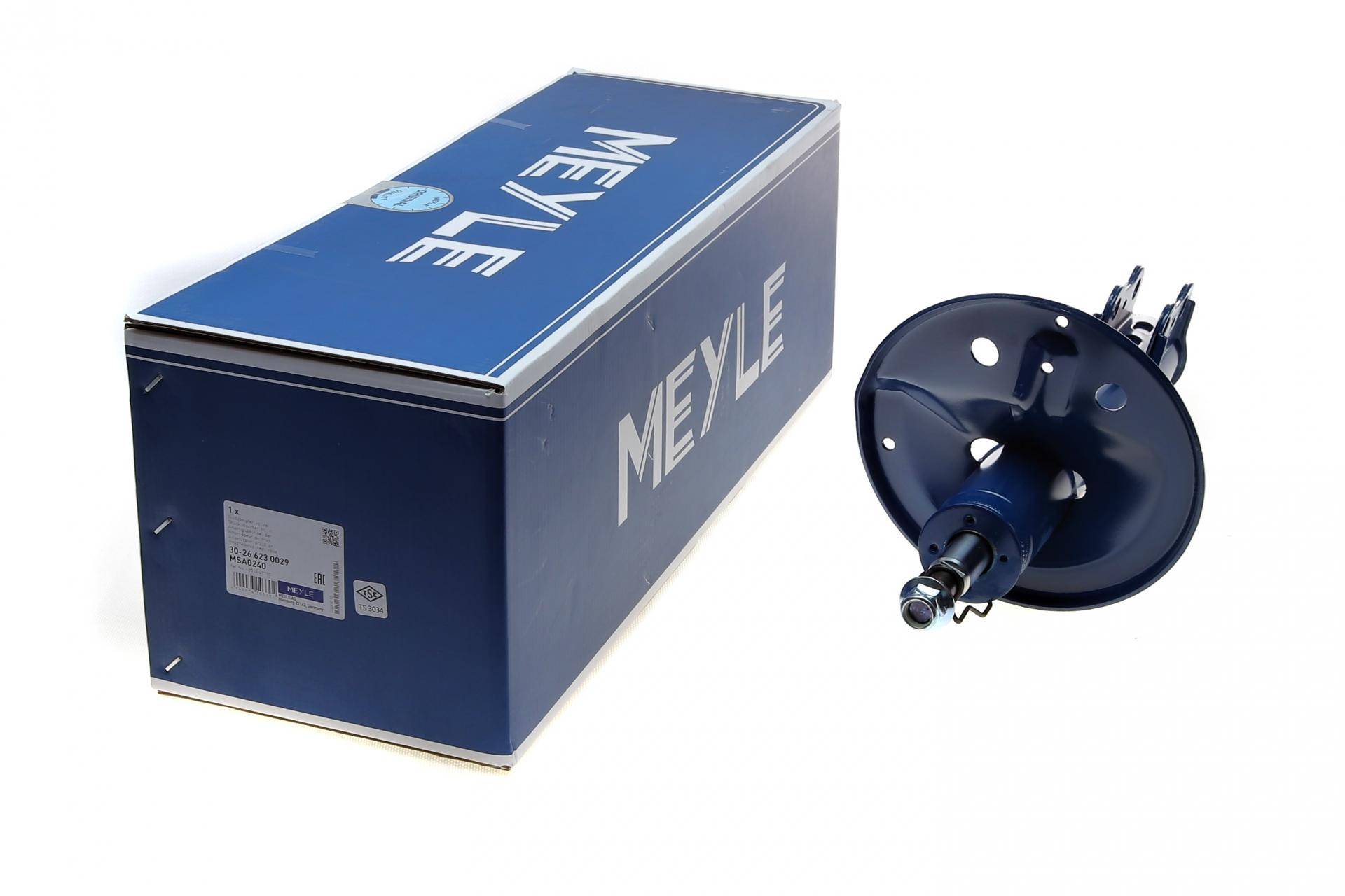 Амортизатор (передній) Toyota RAV4 00-05 (R)