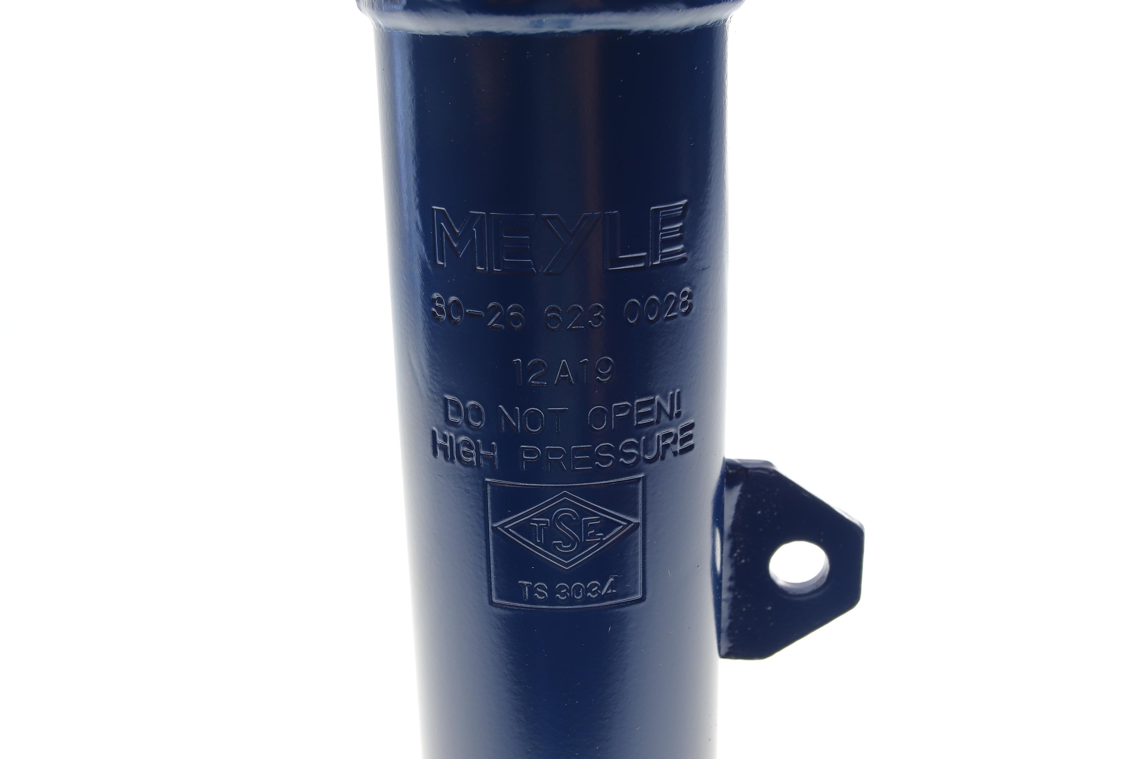 Амортизатор (передній) Toyota RAV4 00-05 (L)