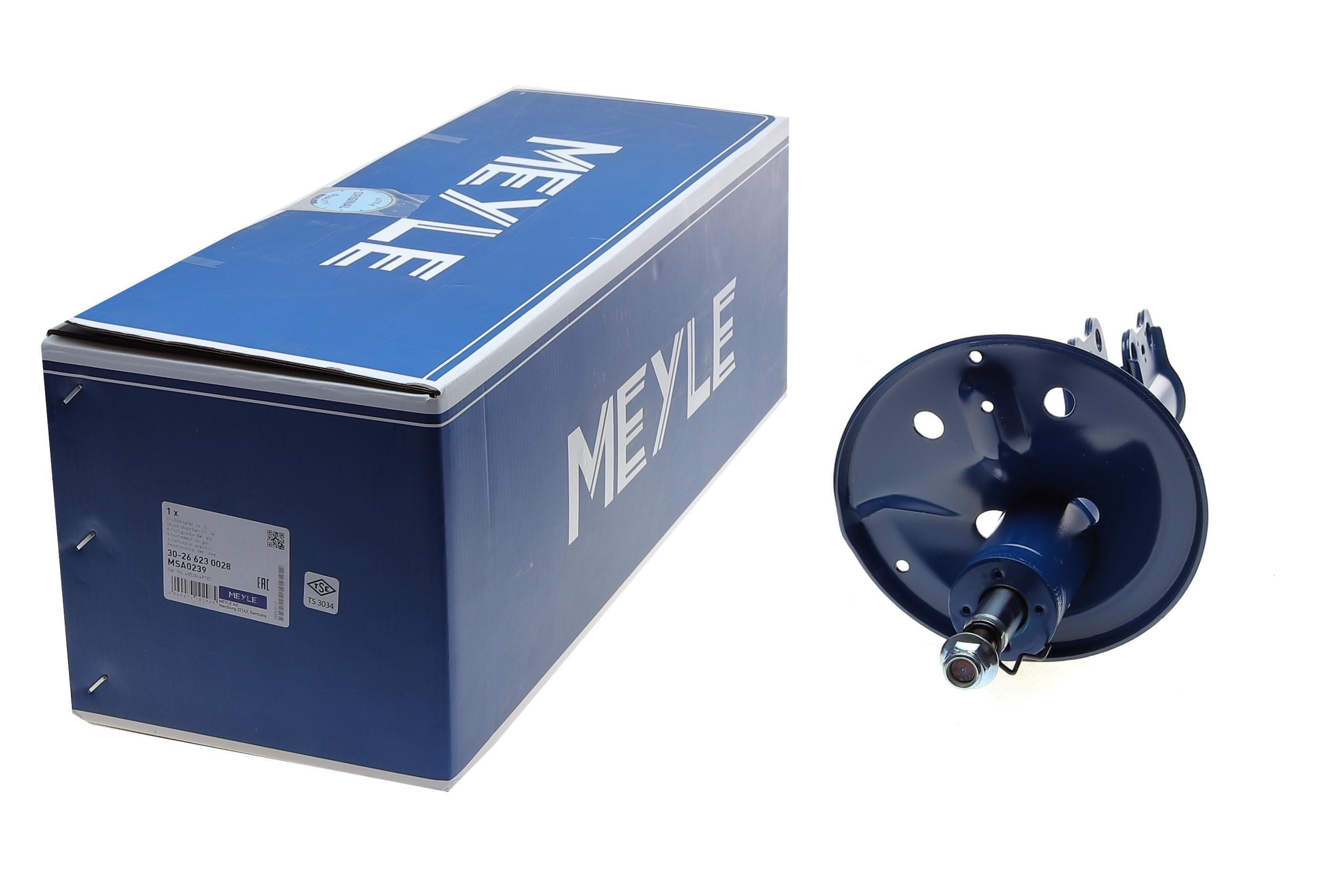 Амортизатор (передній) Toyota RAV4 00-05 (L)