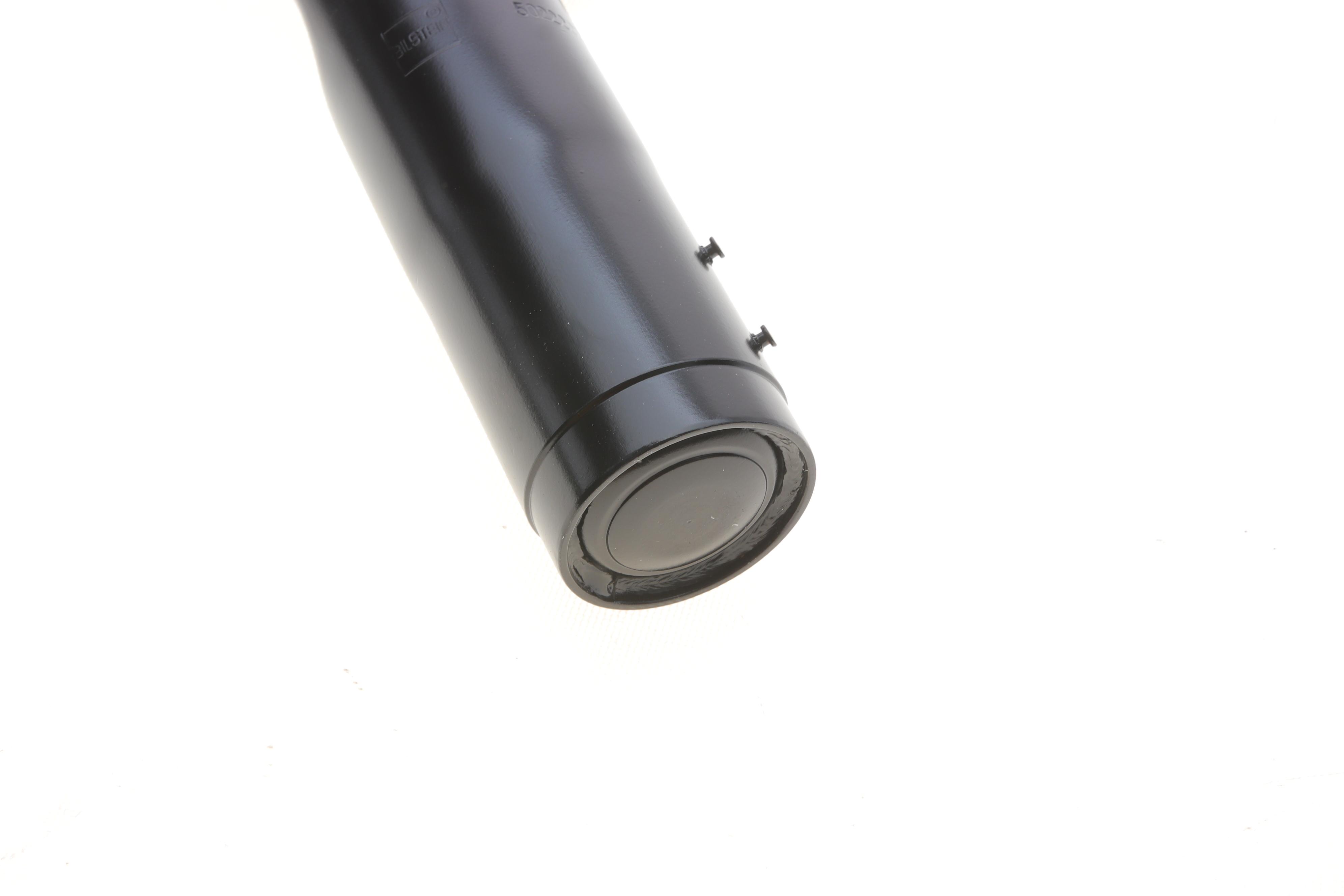 Амортизатор (передній) BMW 5 (E60/E61) 05-10 (R) (тиск газу) (B4)