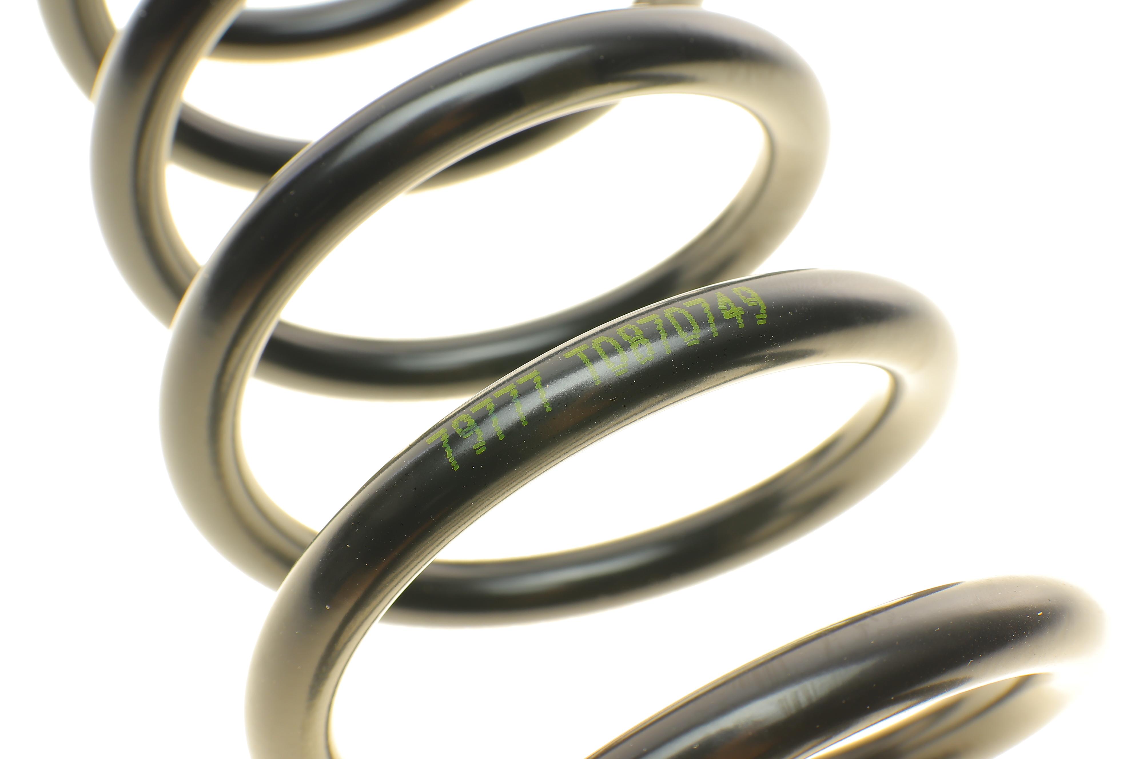 Пружина (задня) Mitsubishi Lancer VIII 1.8Flex/MIVEC 08-10/1.5/2.0DI-D 08- (накл.зад.ч)