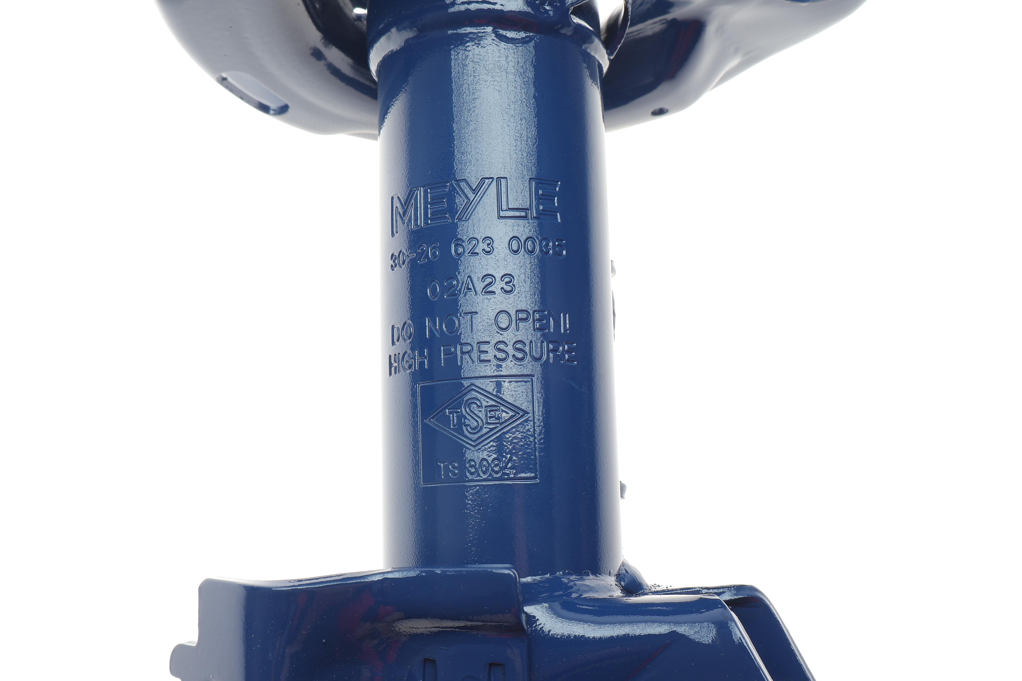 Амортизатор (передній) (R) Toyota Auris/Corolla 06-19