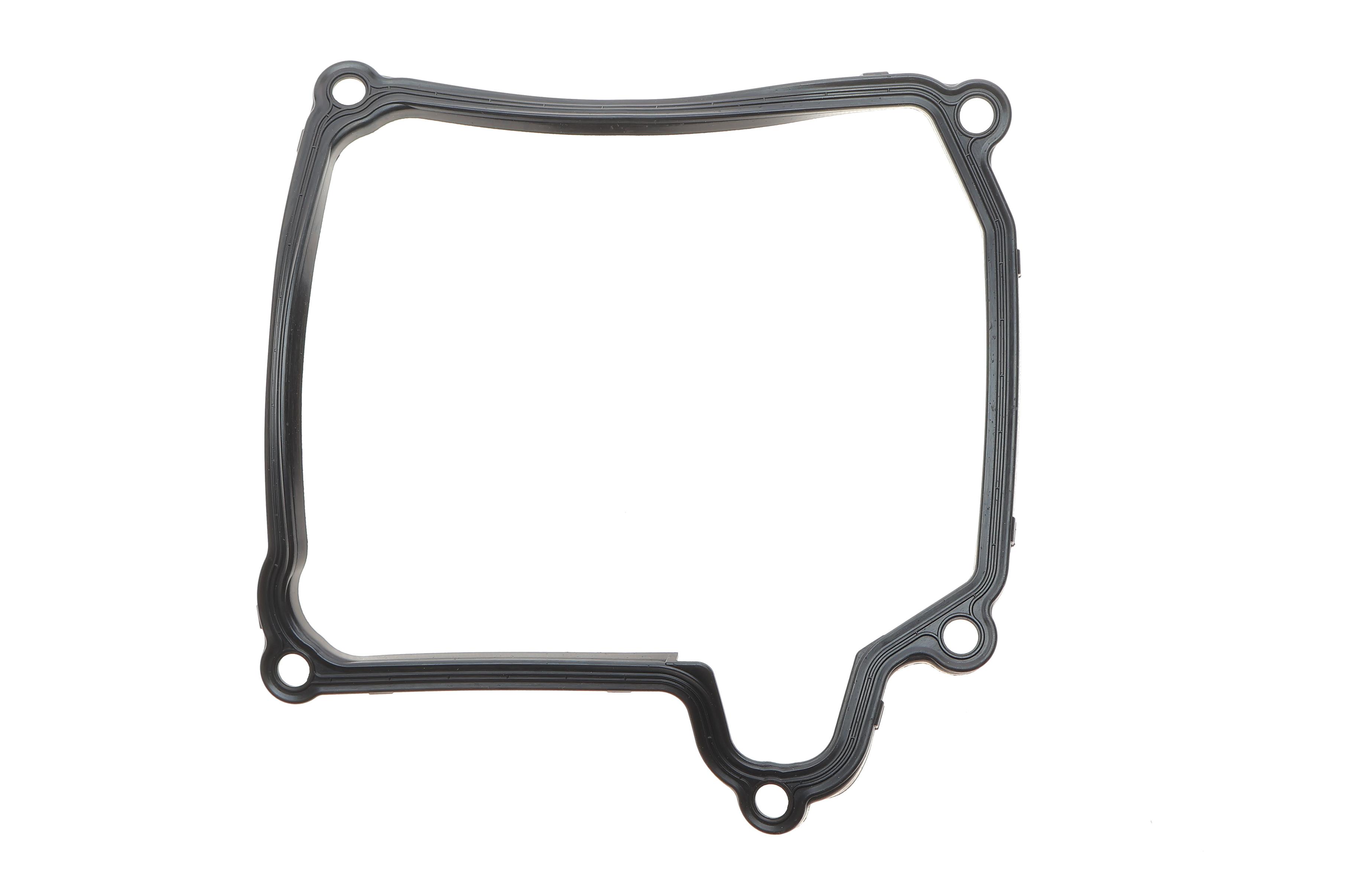 Фільтр АКПП VW Passat/Golf 1.4-2.0TSI/2.0TDI 04-14 (з прокладкою)