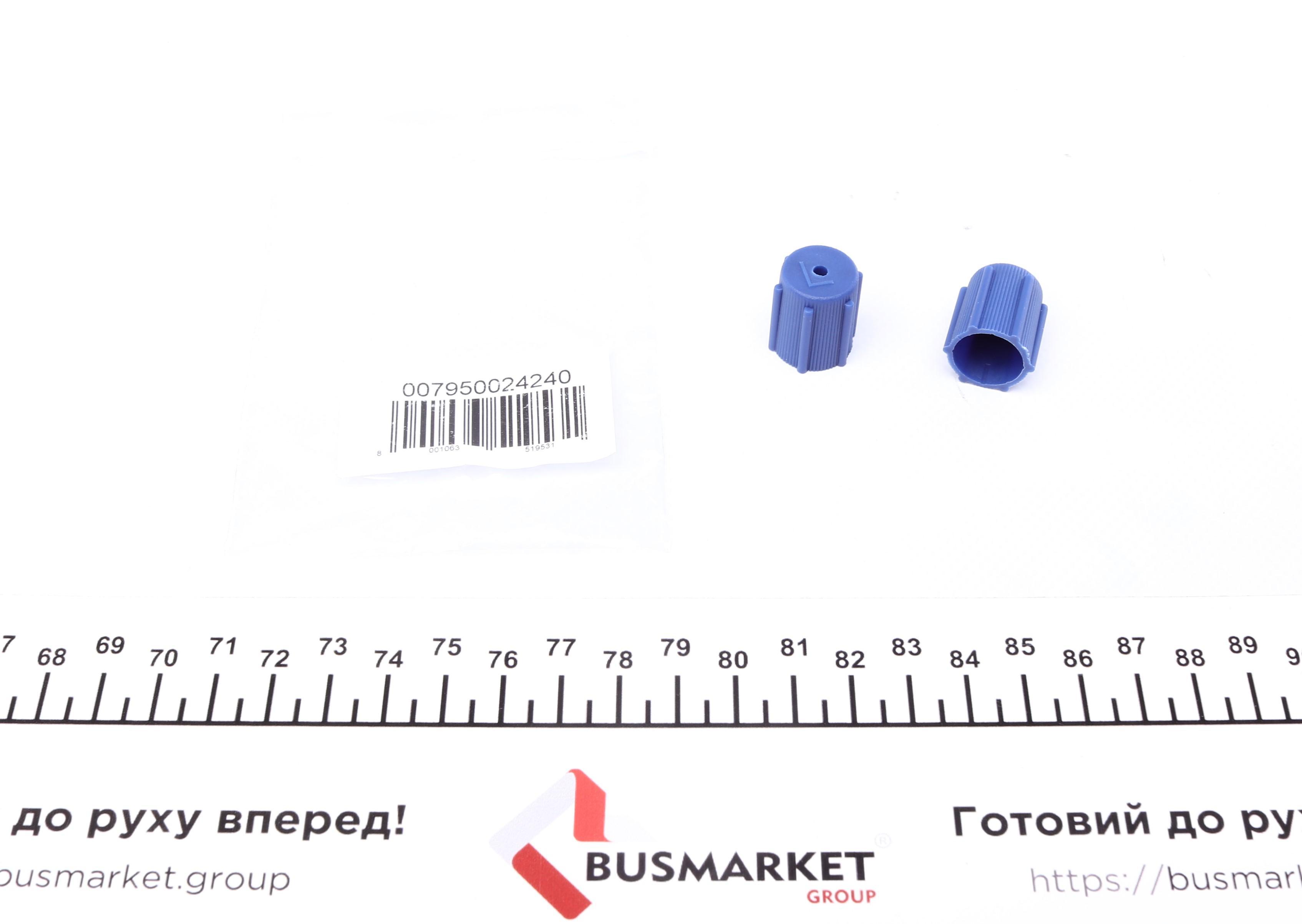 Сервісний ковпачок заправочних портів (R134a) (НД) (2 шт.)