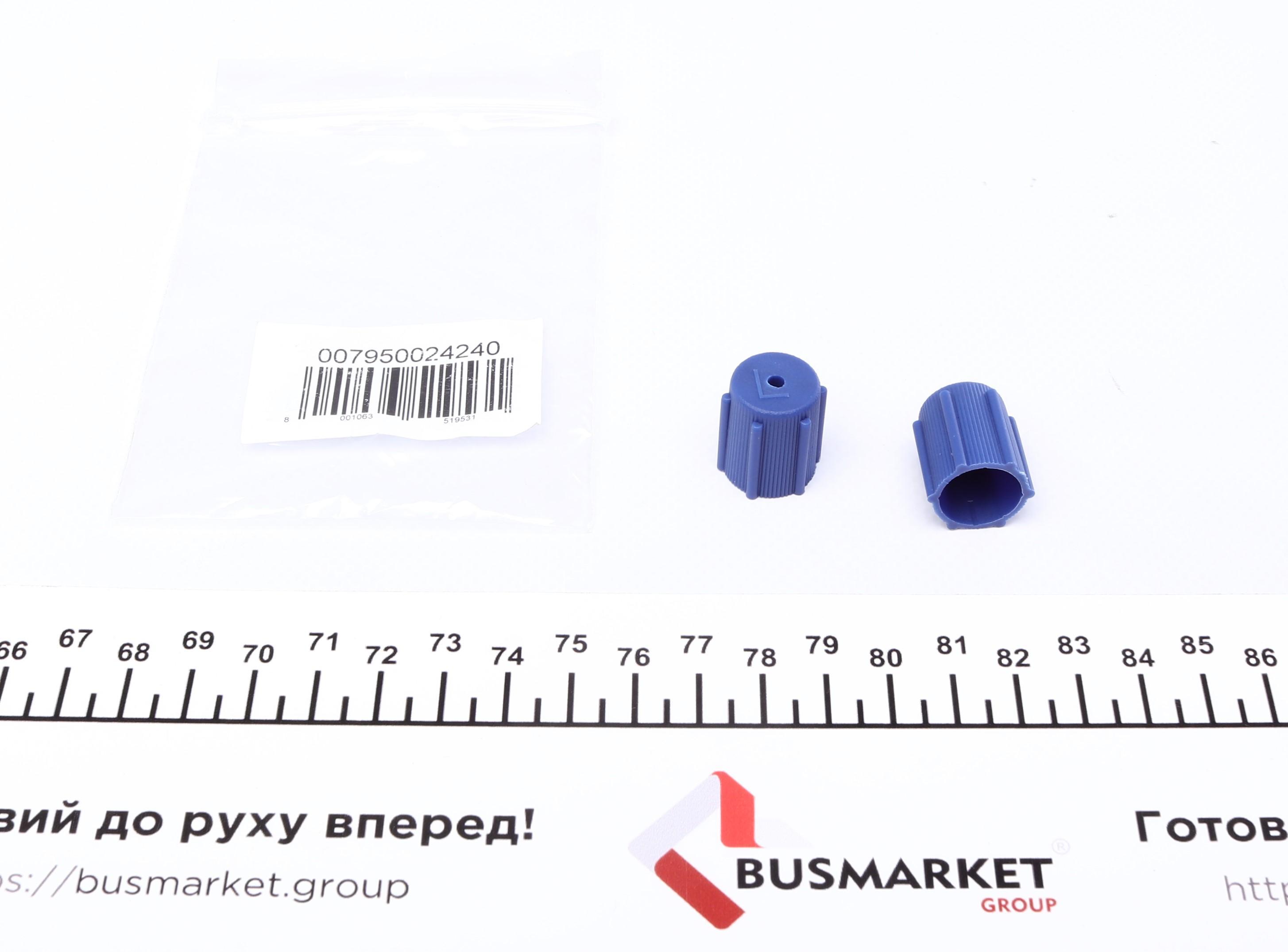 Сервісний ковпачок заправочних портів (R134a) (НД) (2 шт.)