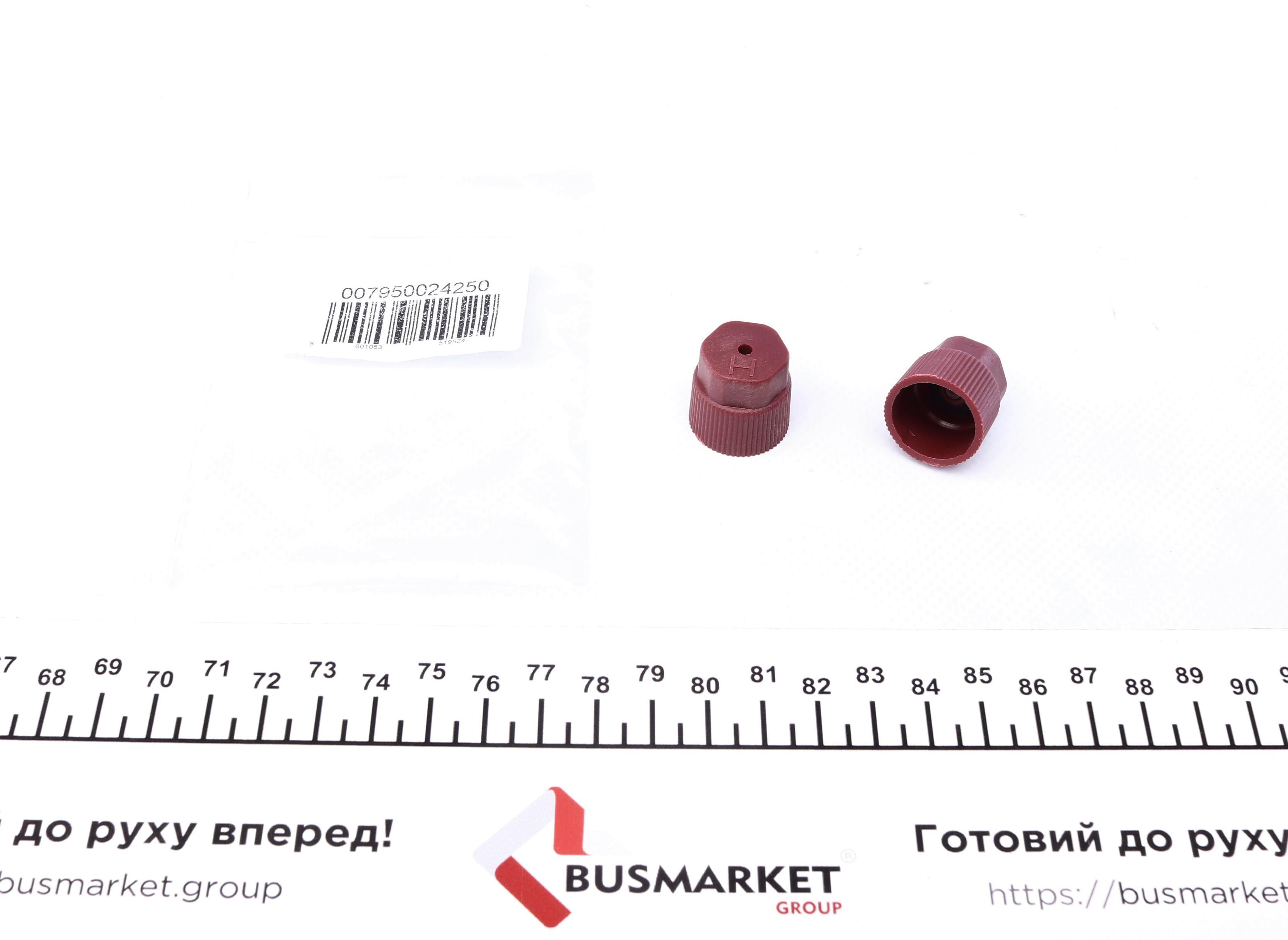 Сервісний ковпачок заправочних портів (ВТ) (2 шт.)