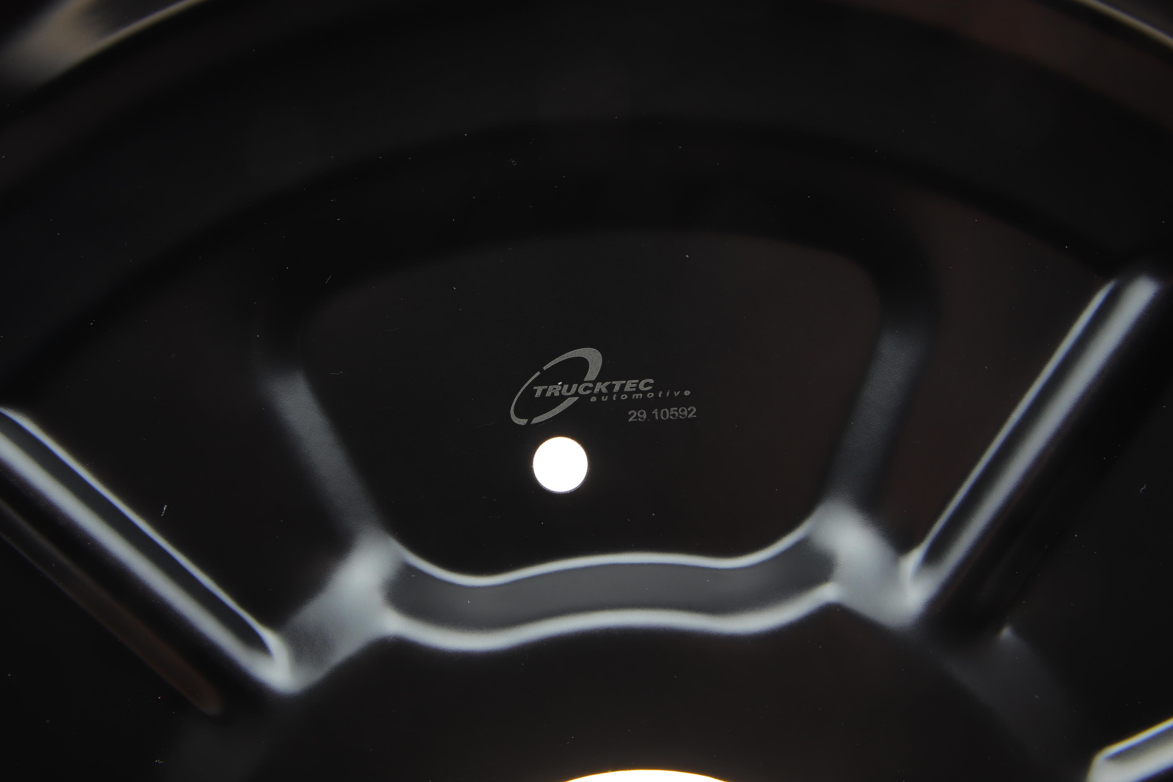 Захист диска гальмівного (заднього) (R) VW Touran/Golf VI 03-15