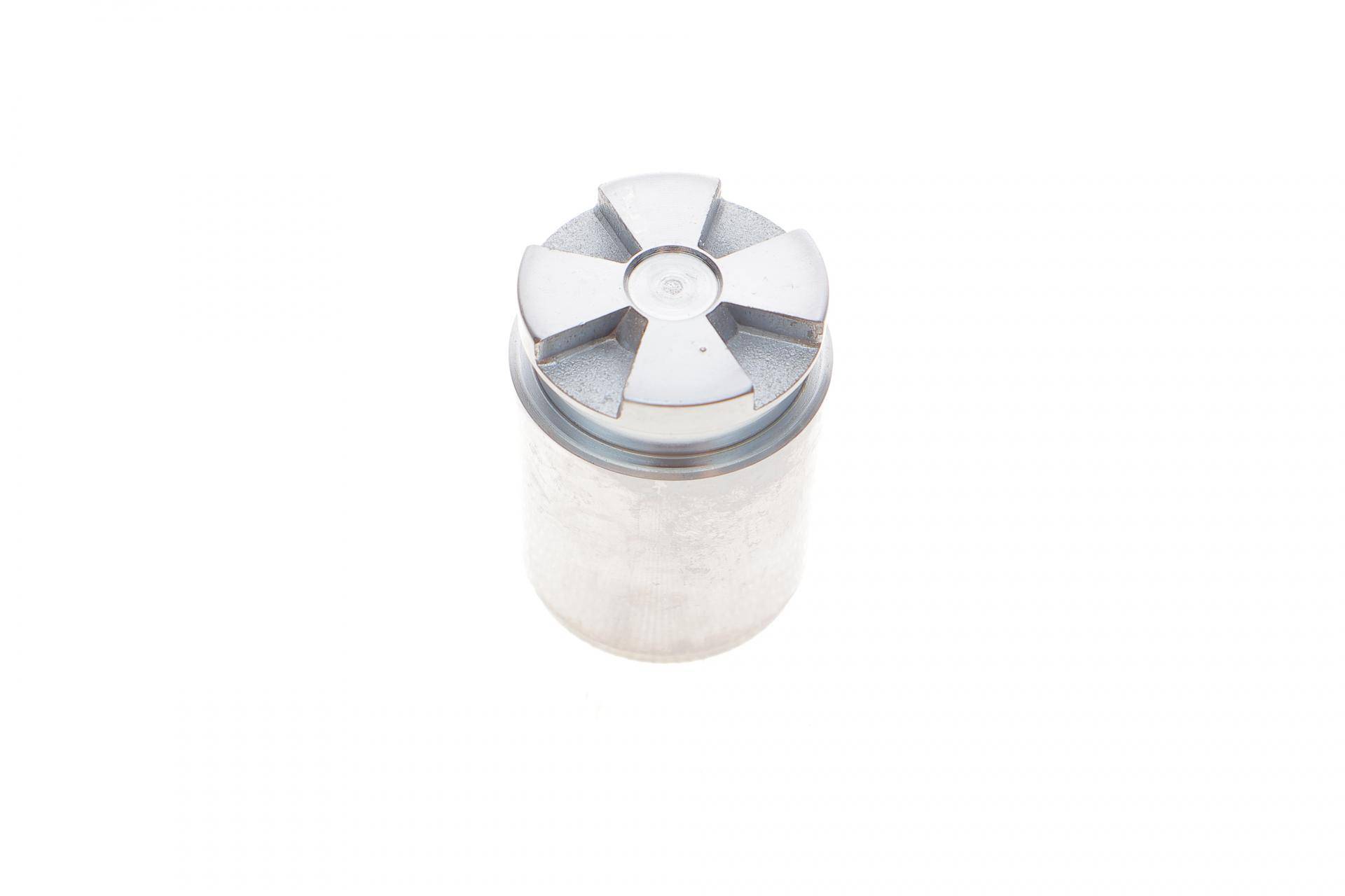 Поршень супорта (заднього) Opel Astra G/Renault Scenic/Megane 96- (34x47mm)