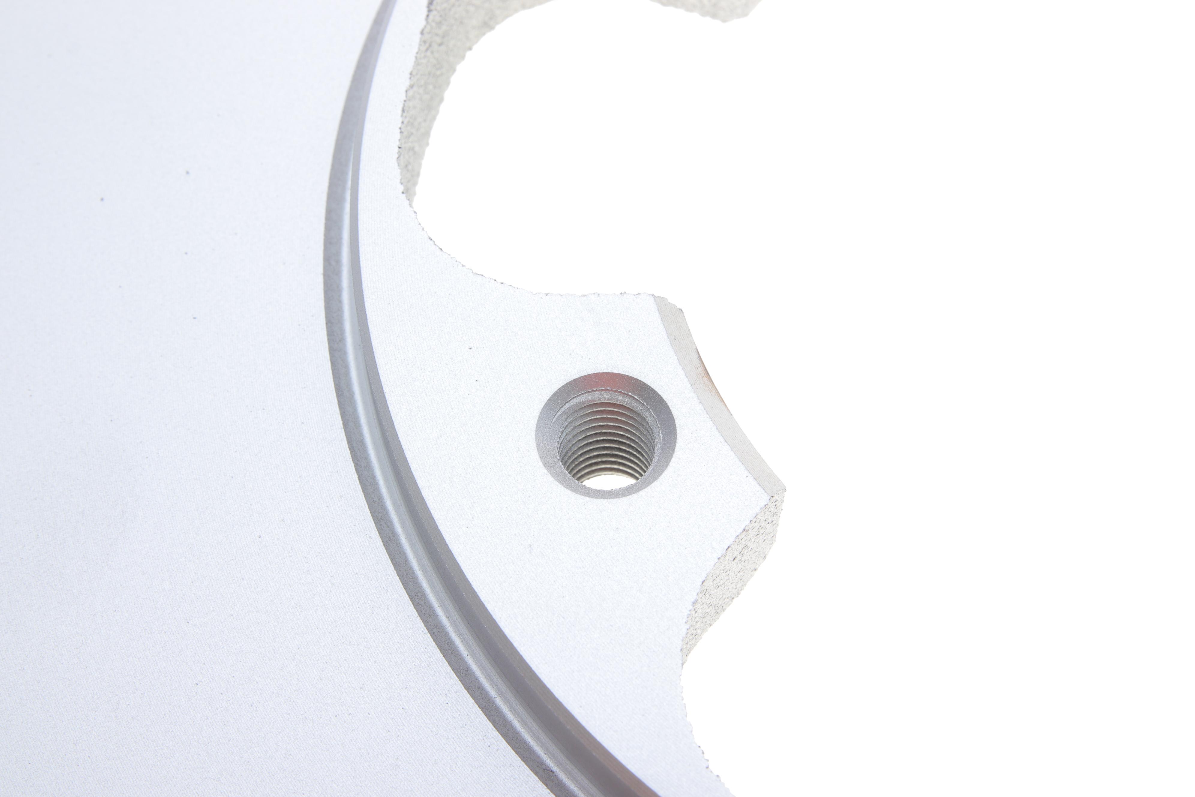 Диск гальмівний (задній) Ford Transit 2.2 TDCi 13-18 (308x16)