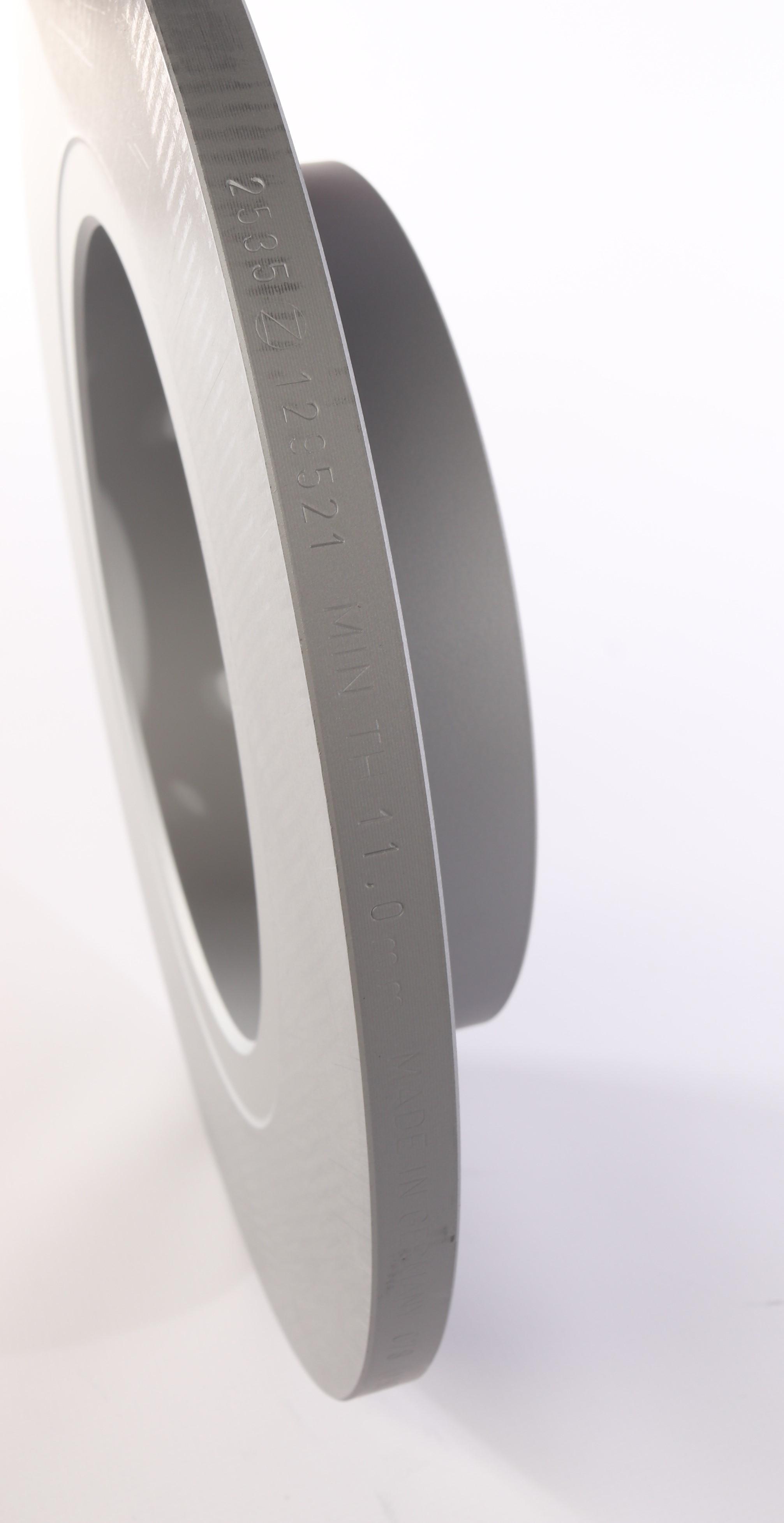 Диск гальмівний (задній) Nissan Qashqai II/ Renault Kadjar 13- (290x13) (з покриттям) (повний)