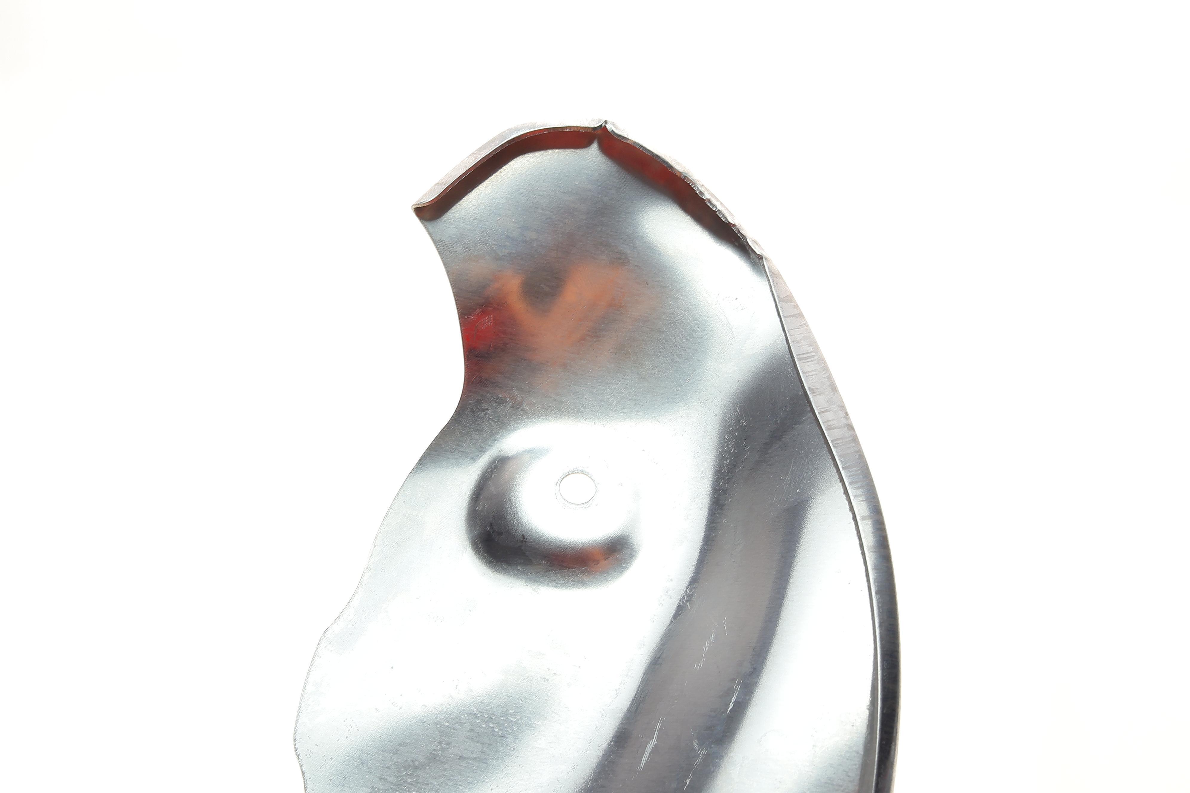 Захист диска гальмівного (переднього) (L) Audi A4/A5/A6/A7/Q5 07-