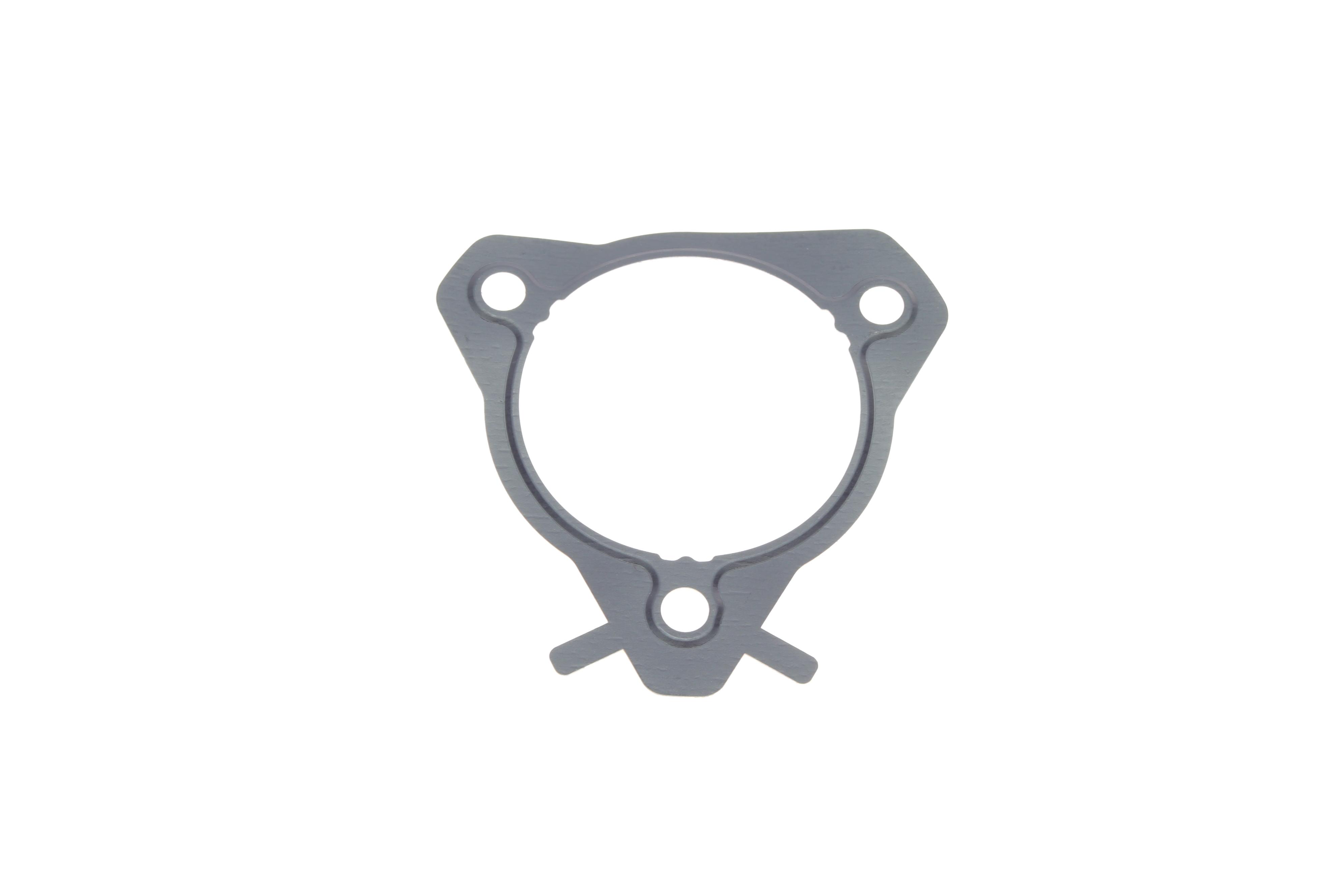 Прокладка насосу паливного Ford Connect 1.8Di/TDCI 02-