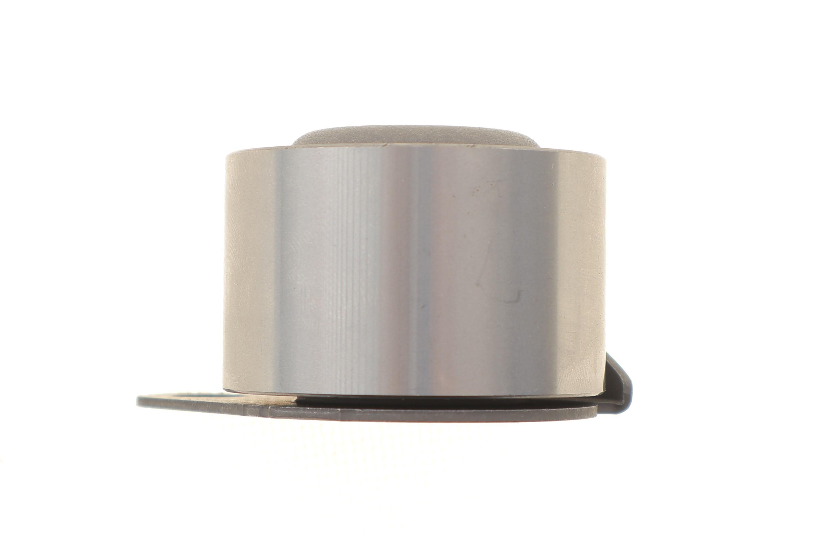 Ролик ГРМ Renault Trafic 1.9dCi (натяжной) (50х30)